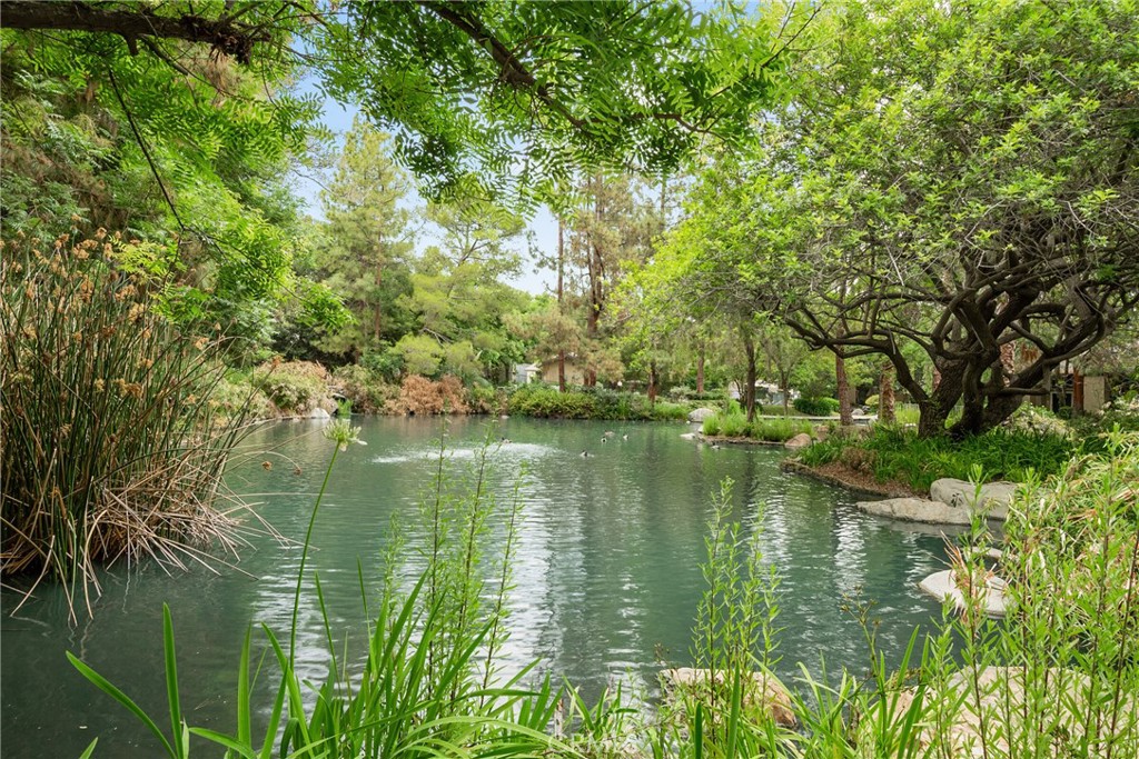 4900 E Chapman Avenue 102