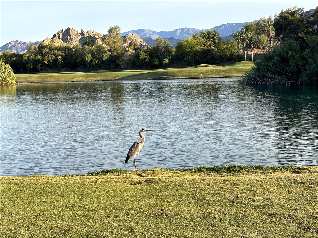 57205 Merion
