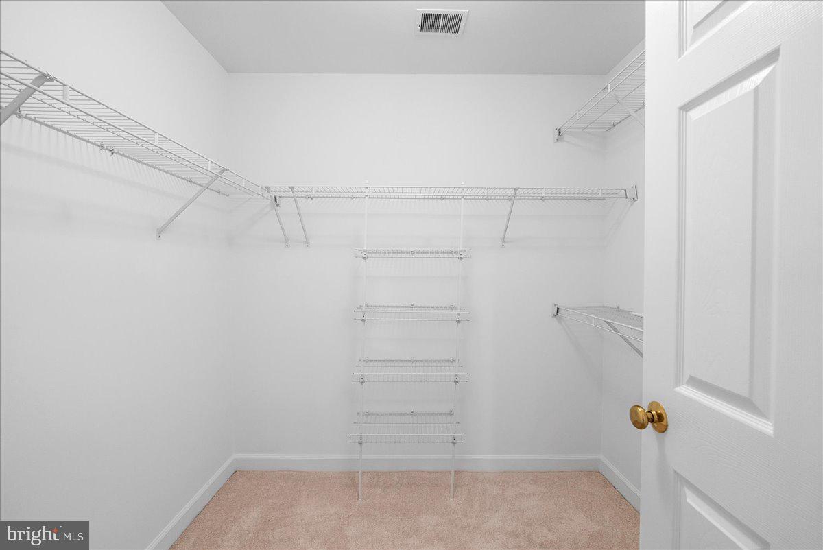 13475 CONEFLOWER COURT