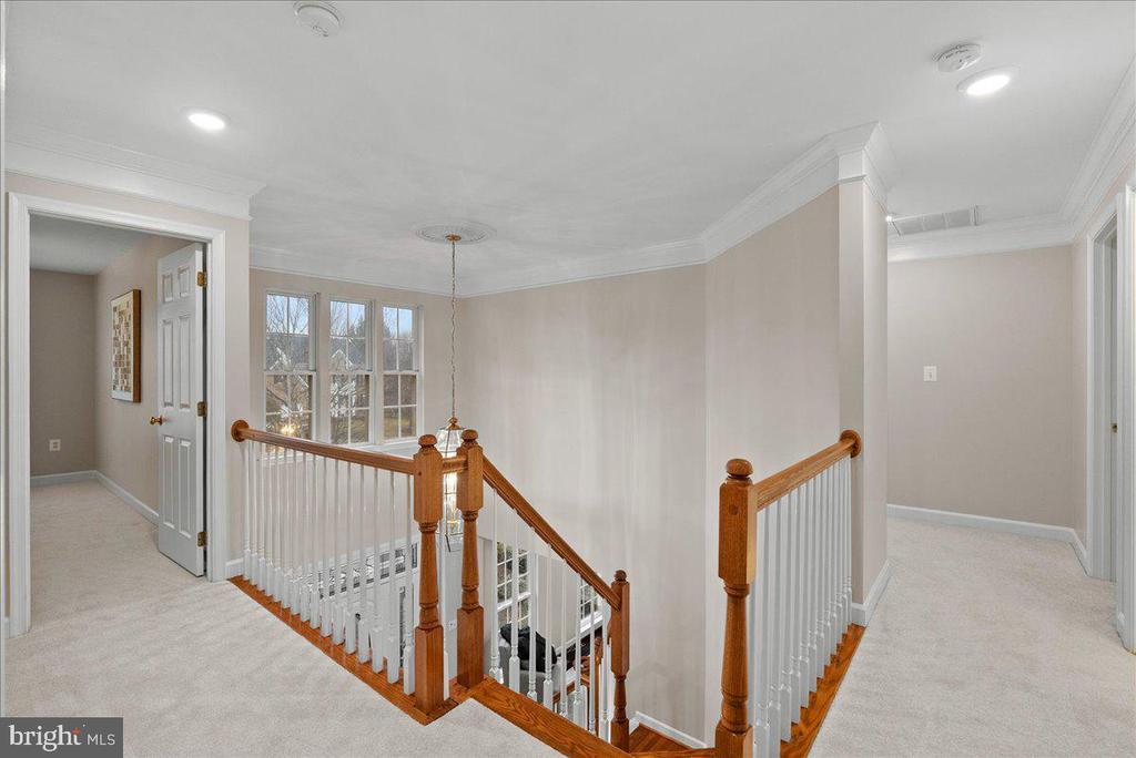 13475 CONEFLOWER COURT