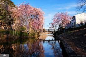 1405 NORTHGATE SQUARE 21C