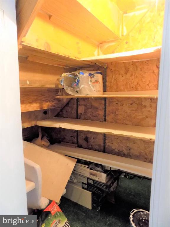 Storage closet with wooden shelves, exposed framing, and household supplies.