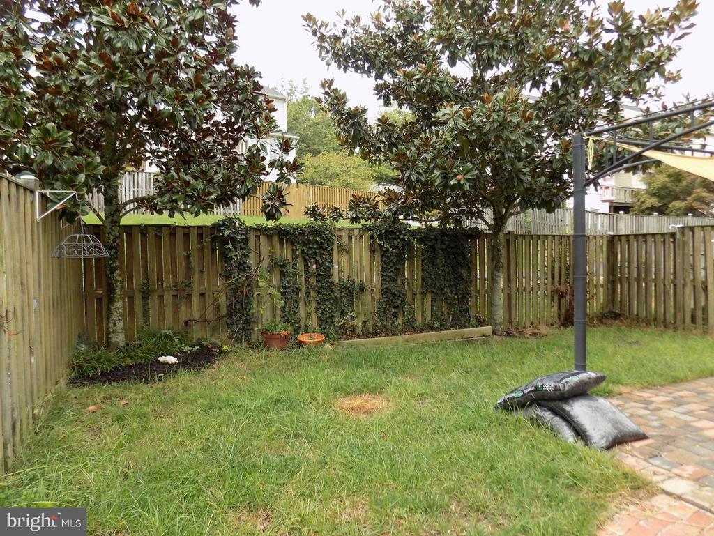 Fenced backyard with a grassy lawn, mature trees, ivy-covered privacy fence, and paved patio.