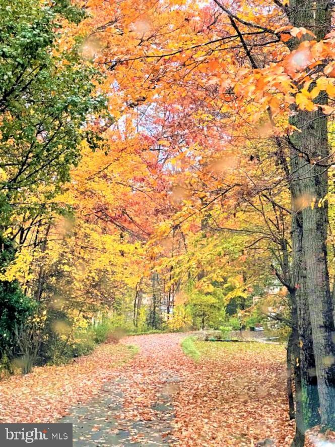 12400 SILENT WOLF DRIVE