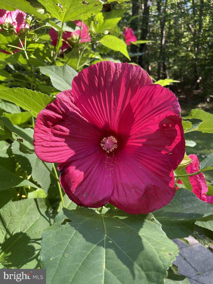 12400 SILENT WOLF DRIVE