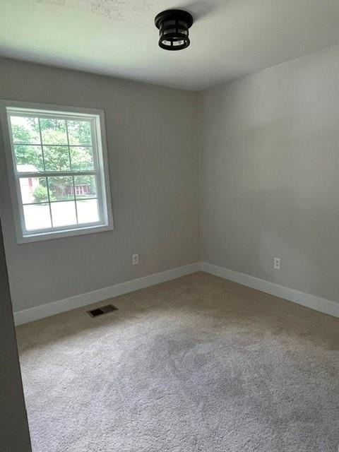 852 Pine Shadow Lane