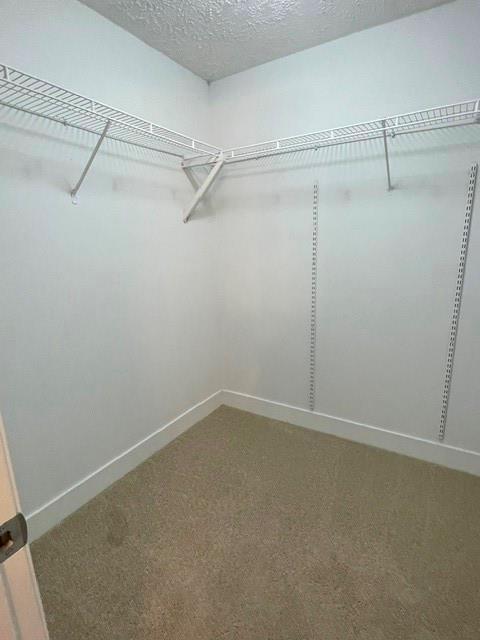 852 Pine Shadow Lane