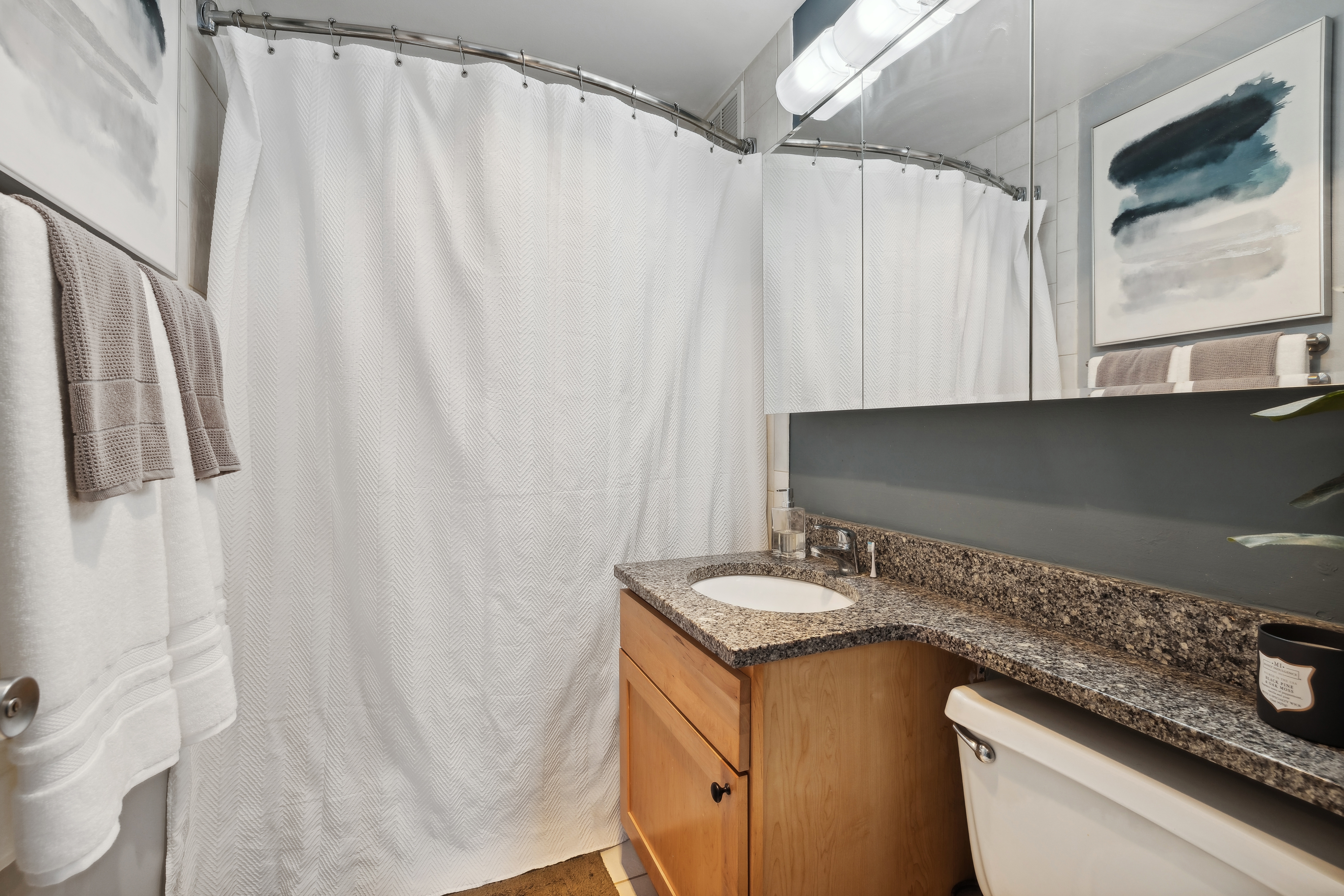 655 W Irving Park 2102 