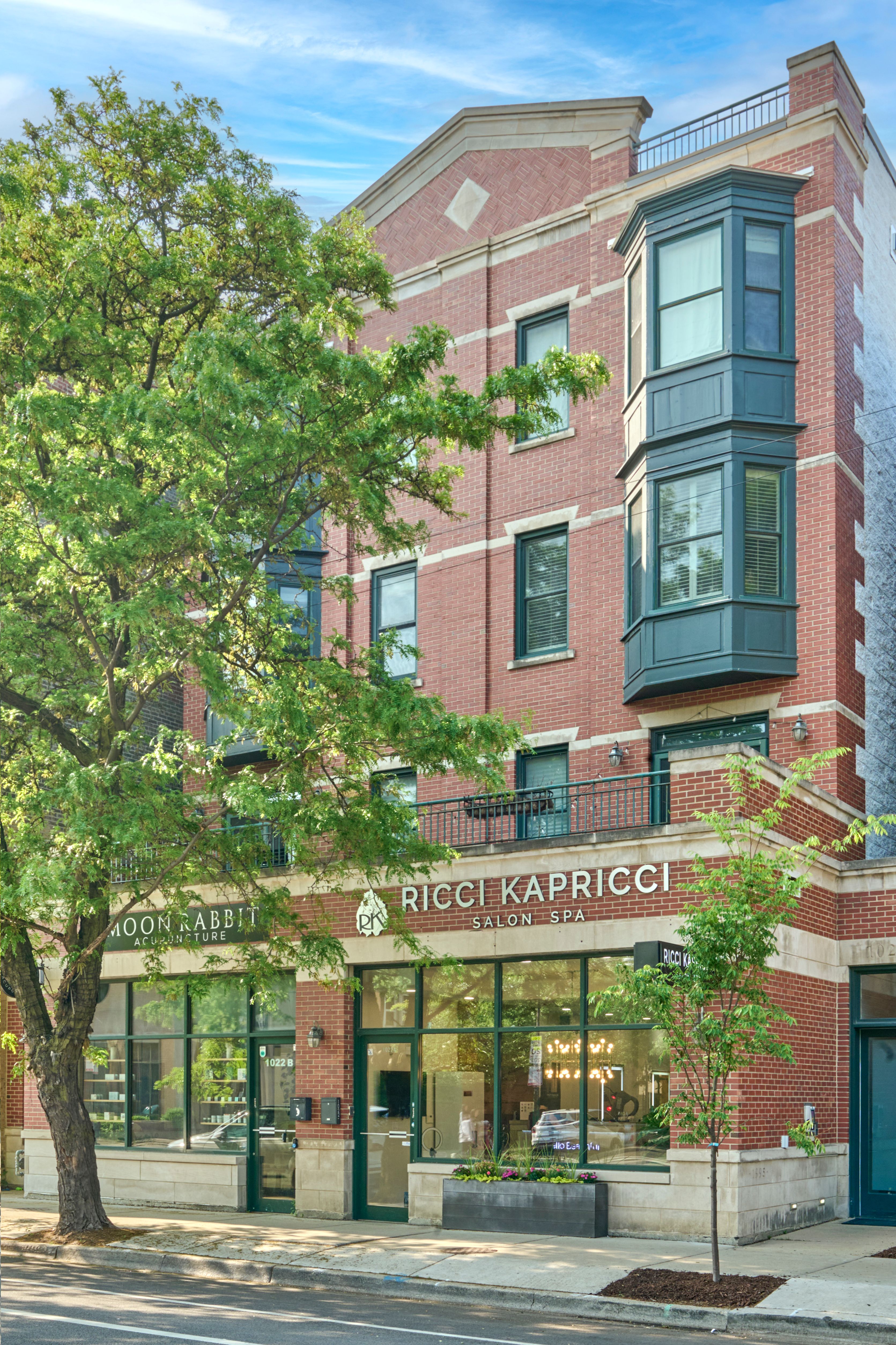1020 W Armitage 3A 