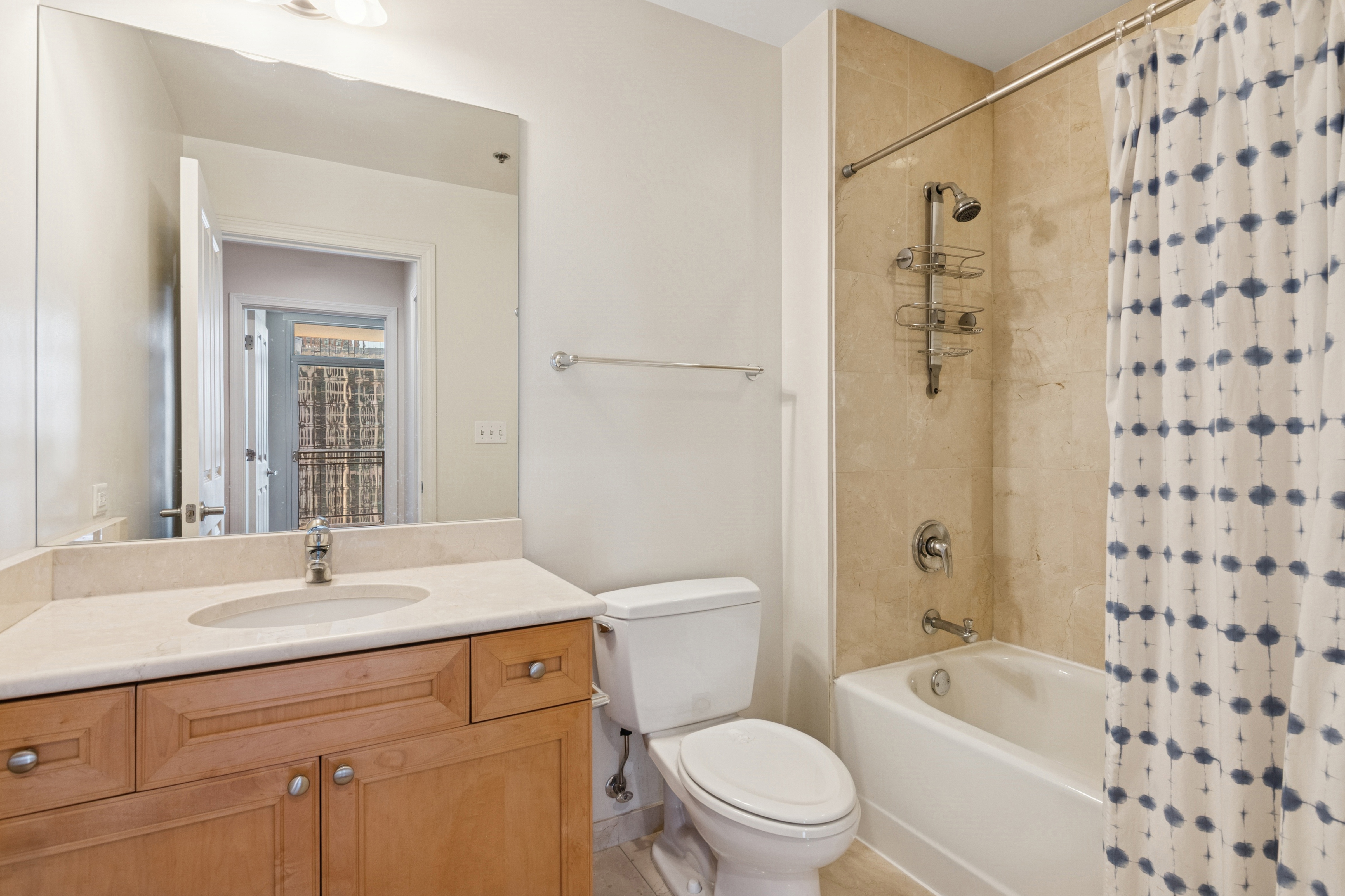 1250 S Michigan 2304 