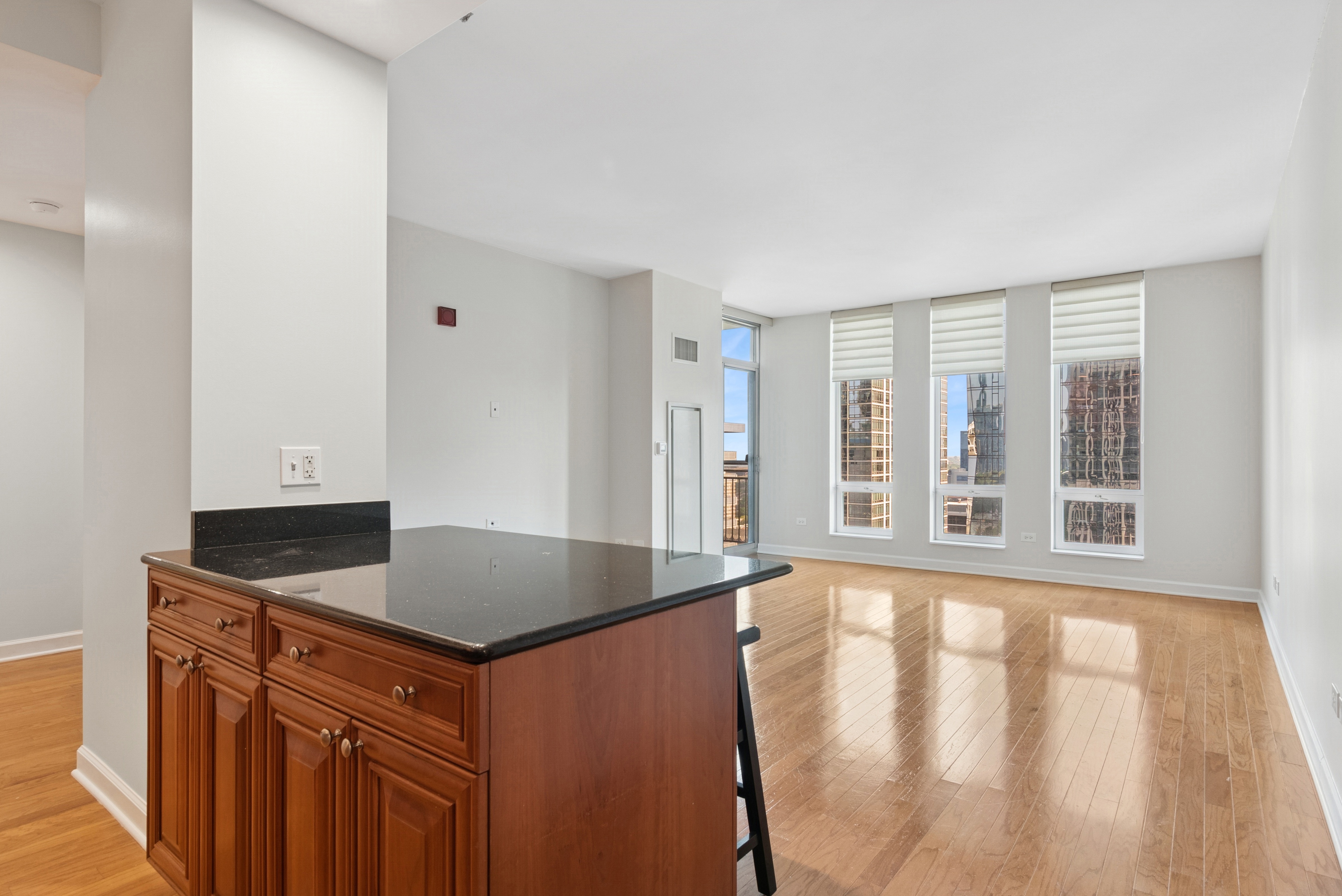 1250 S Michigan 2304 