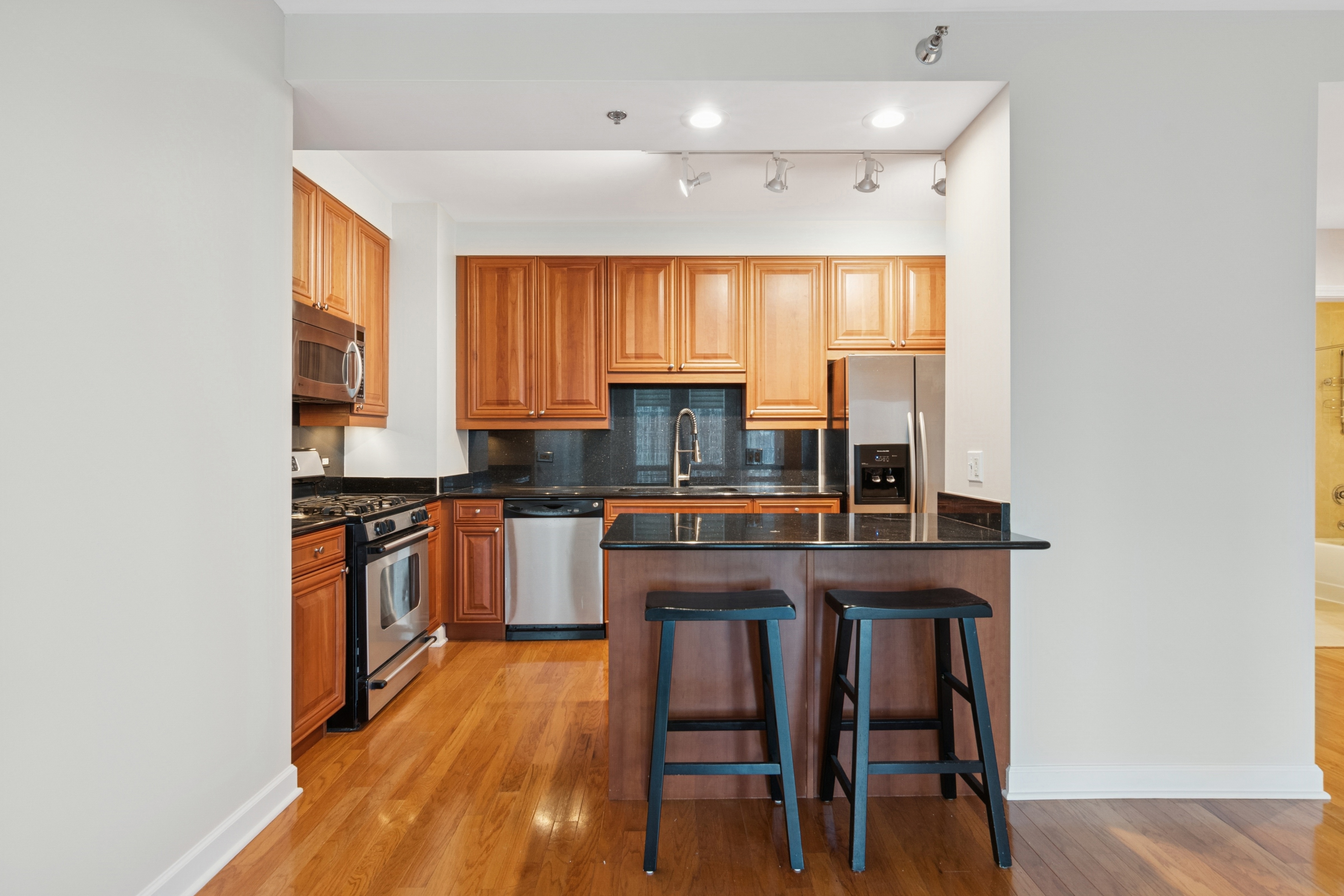 1250 S Michigan 2304 