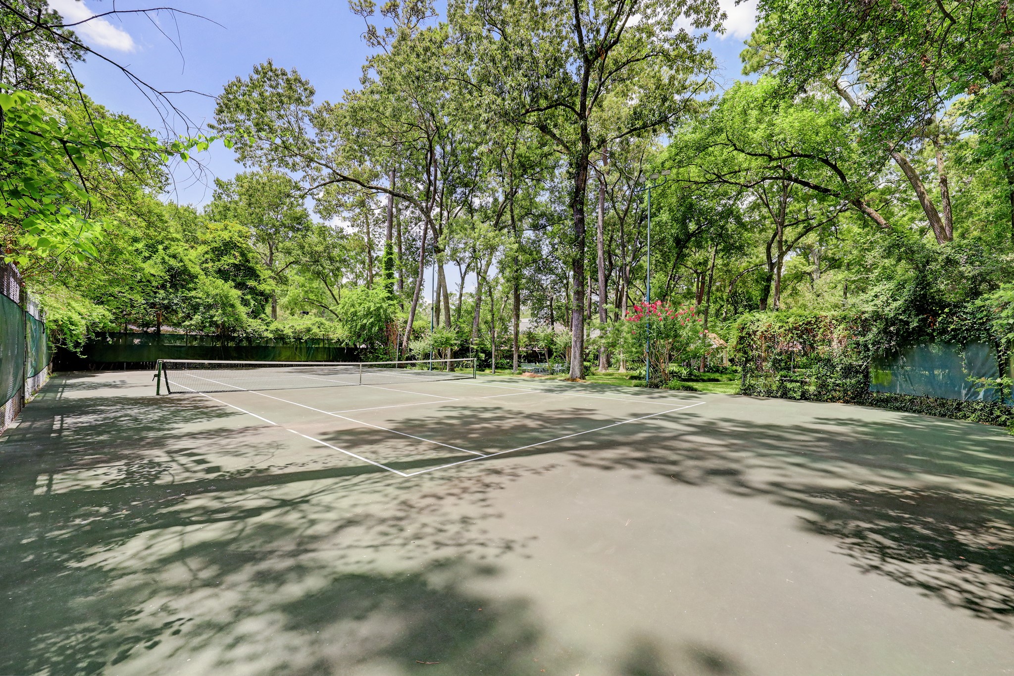 318 Timberwilde Lane