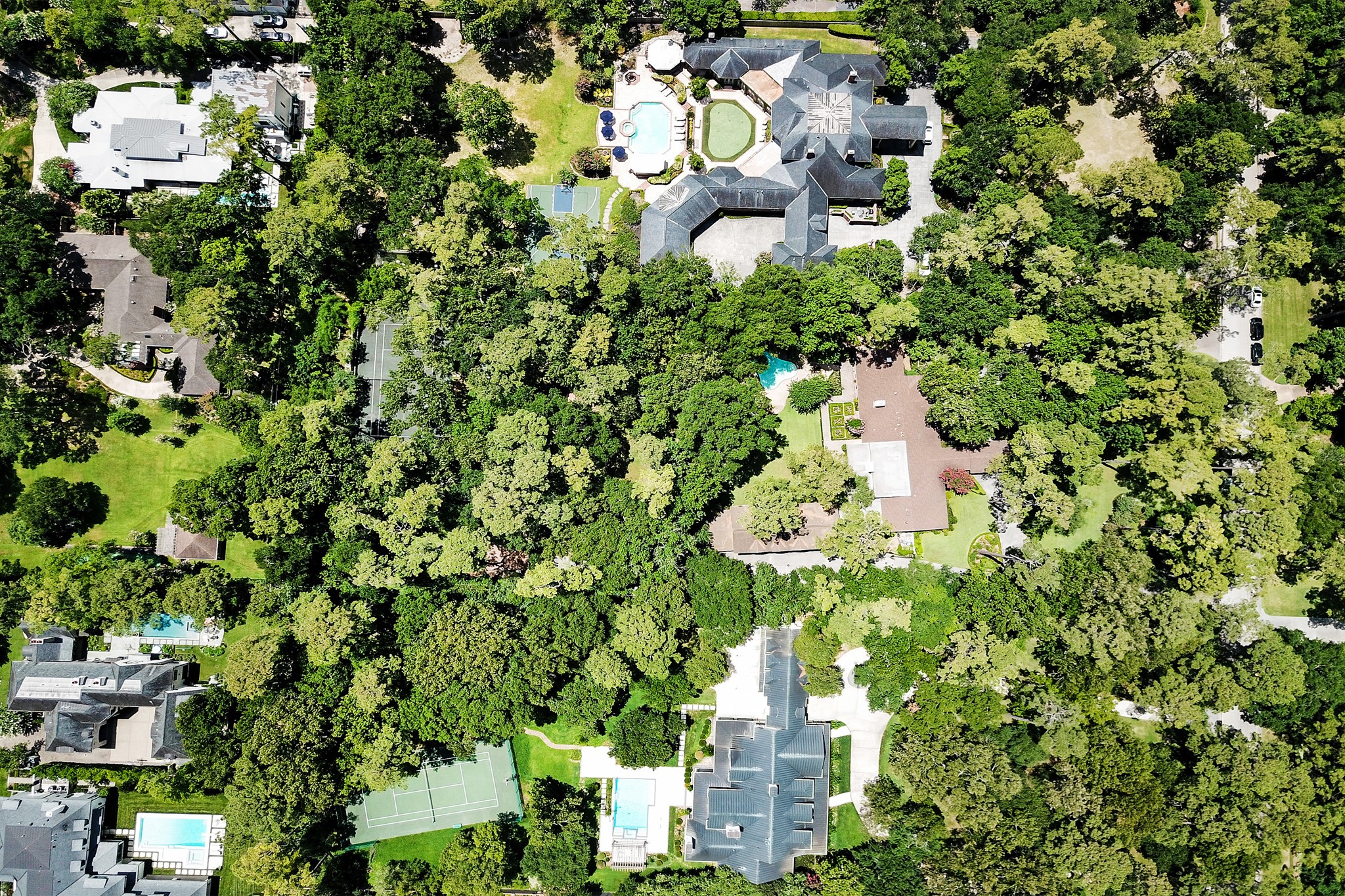 318 Timberwilde Lane