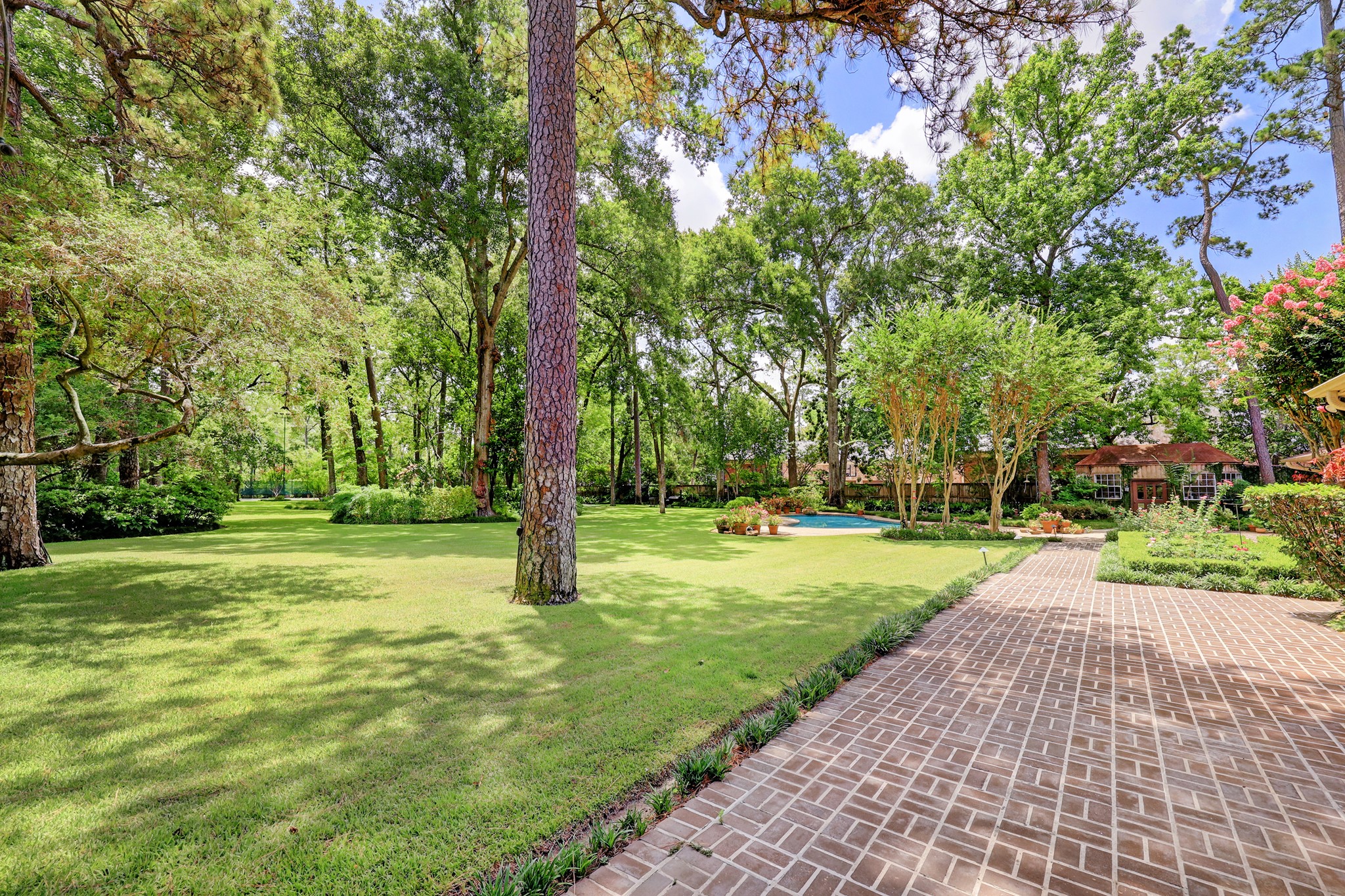 318 Timberwilde Lane