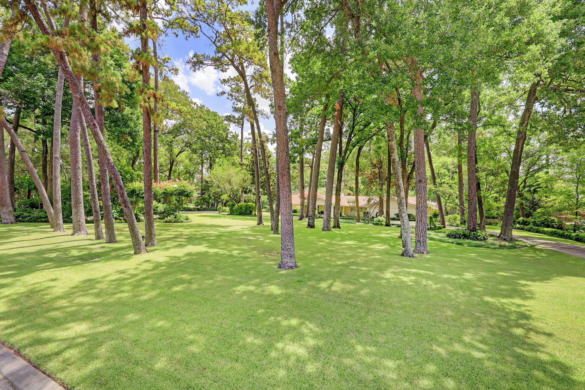 318 Timberwilde Lane