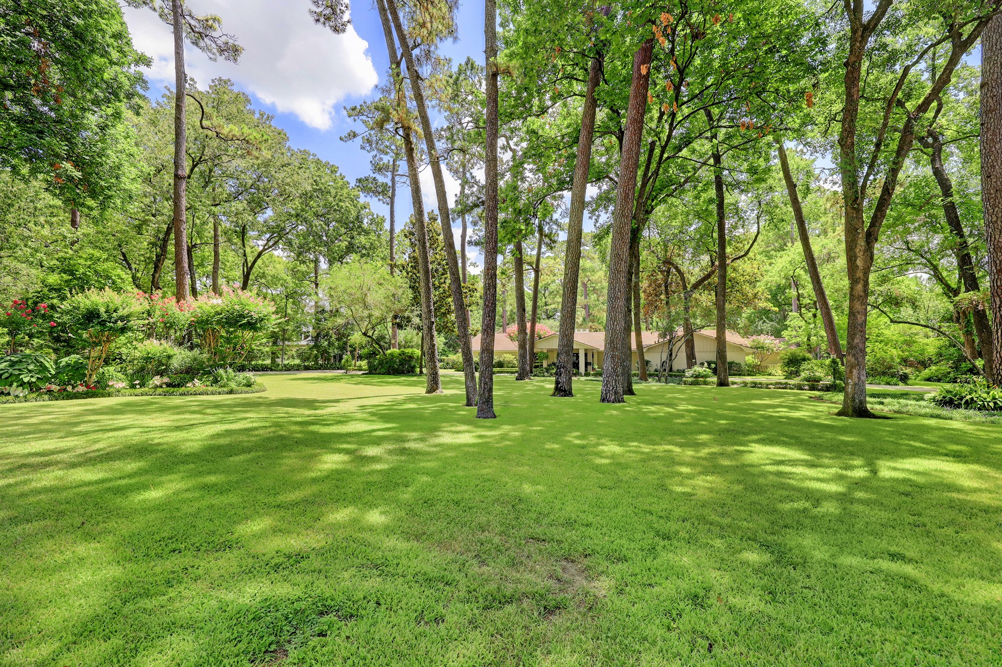 318 Timberwilde Lane