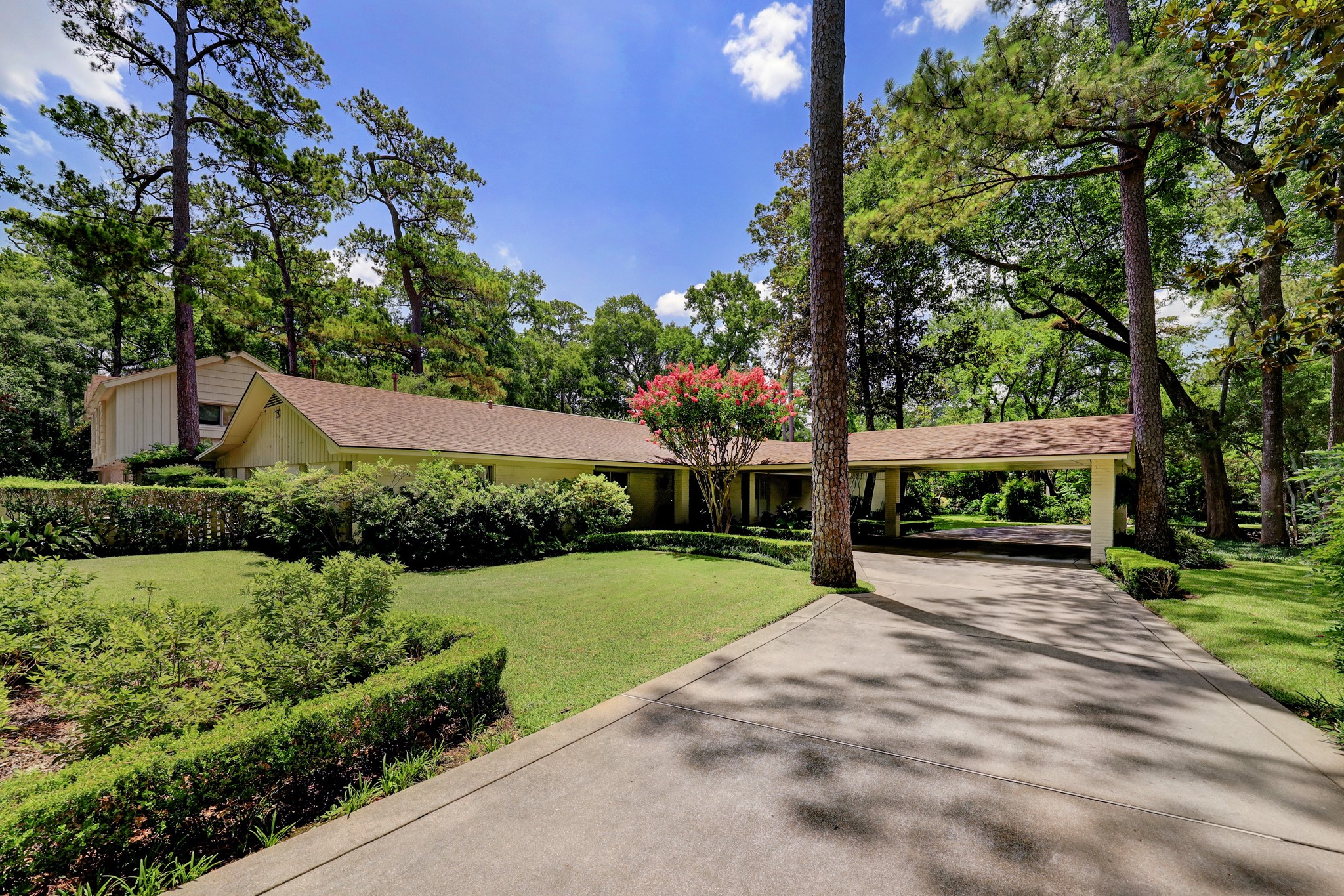 318 Timberwilde Lane
