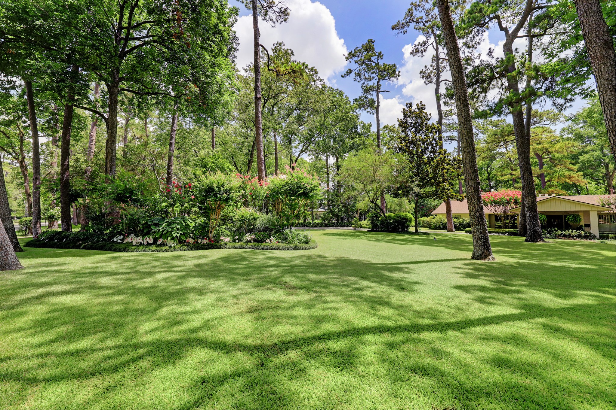 318 Timberwilde Lane