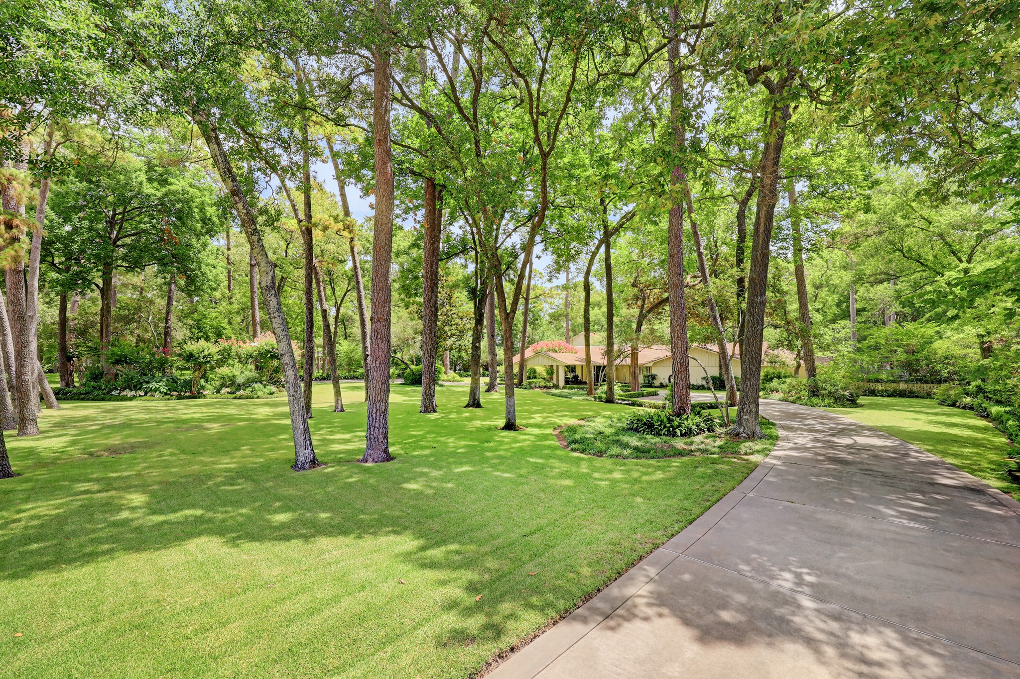 318 Timberwilde Lane