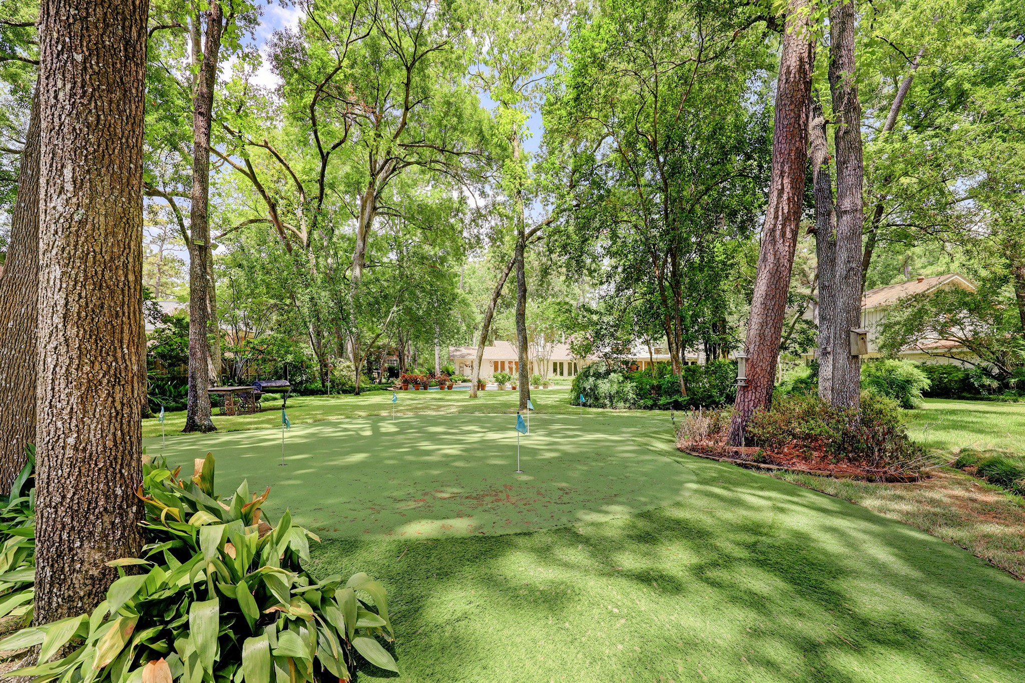 318 Timberwilde Lane
