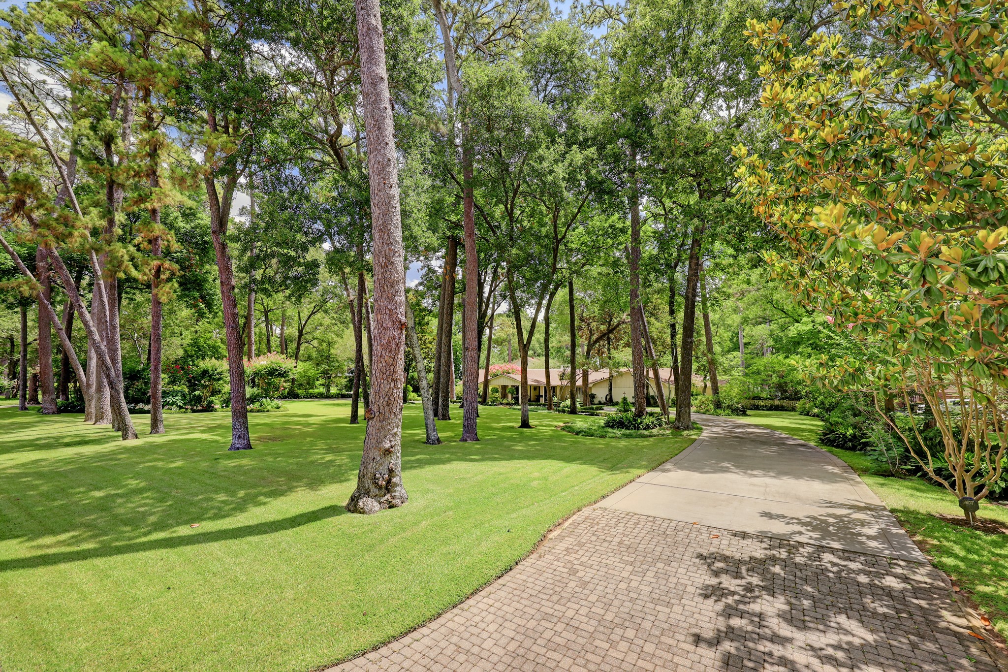 318 Timberwilde Lane