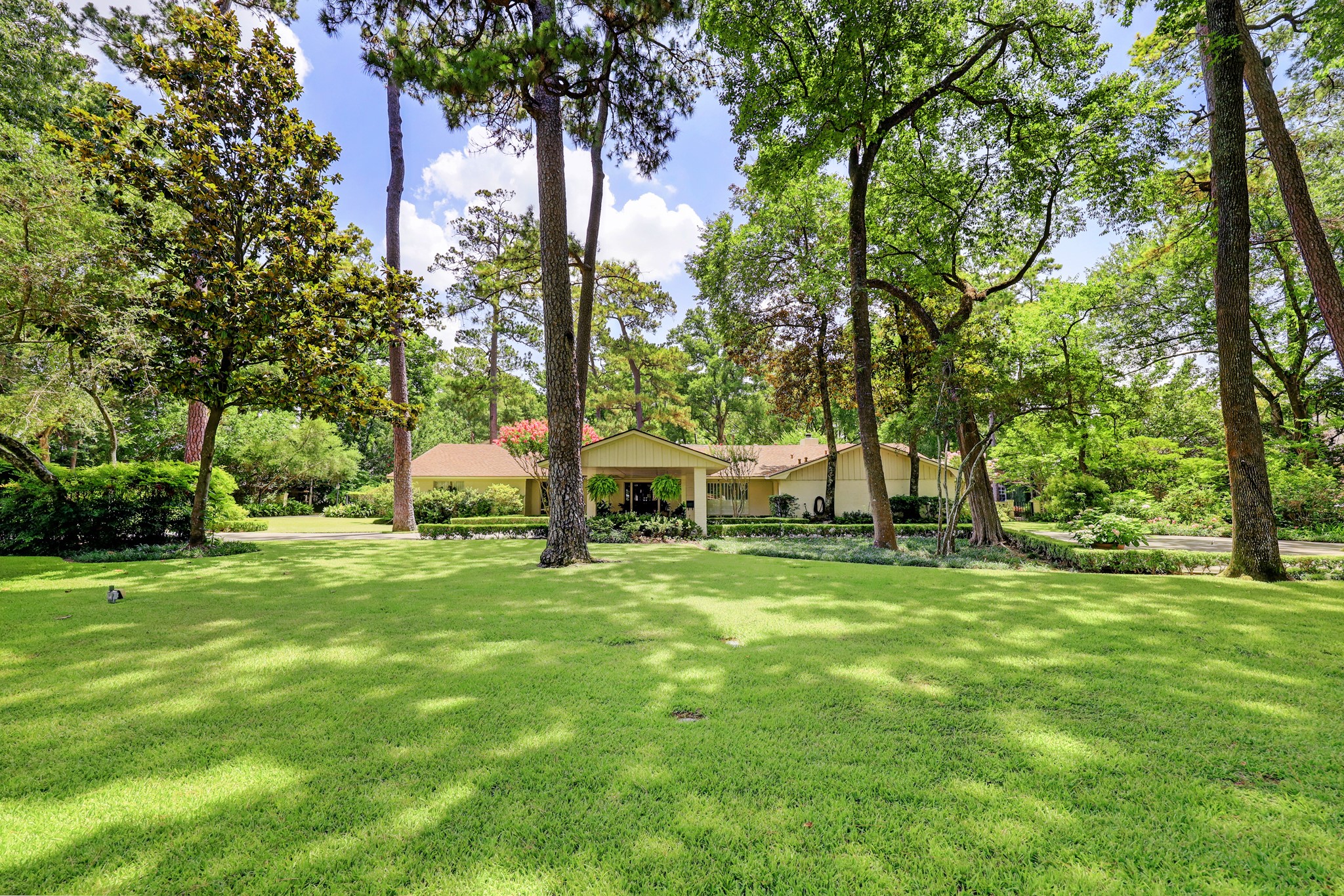 318 Timberwilde Lane