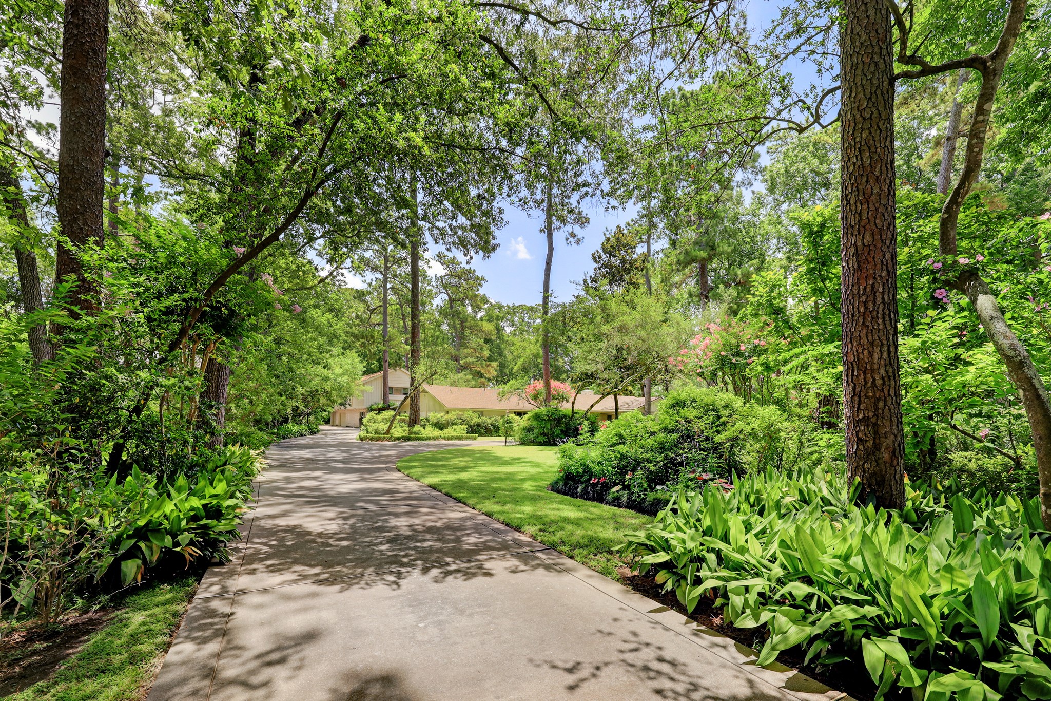 318 Timberwilde Lane