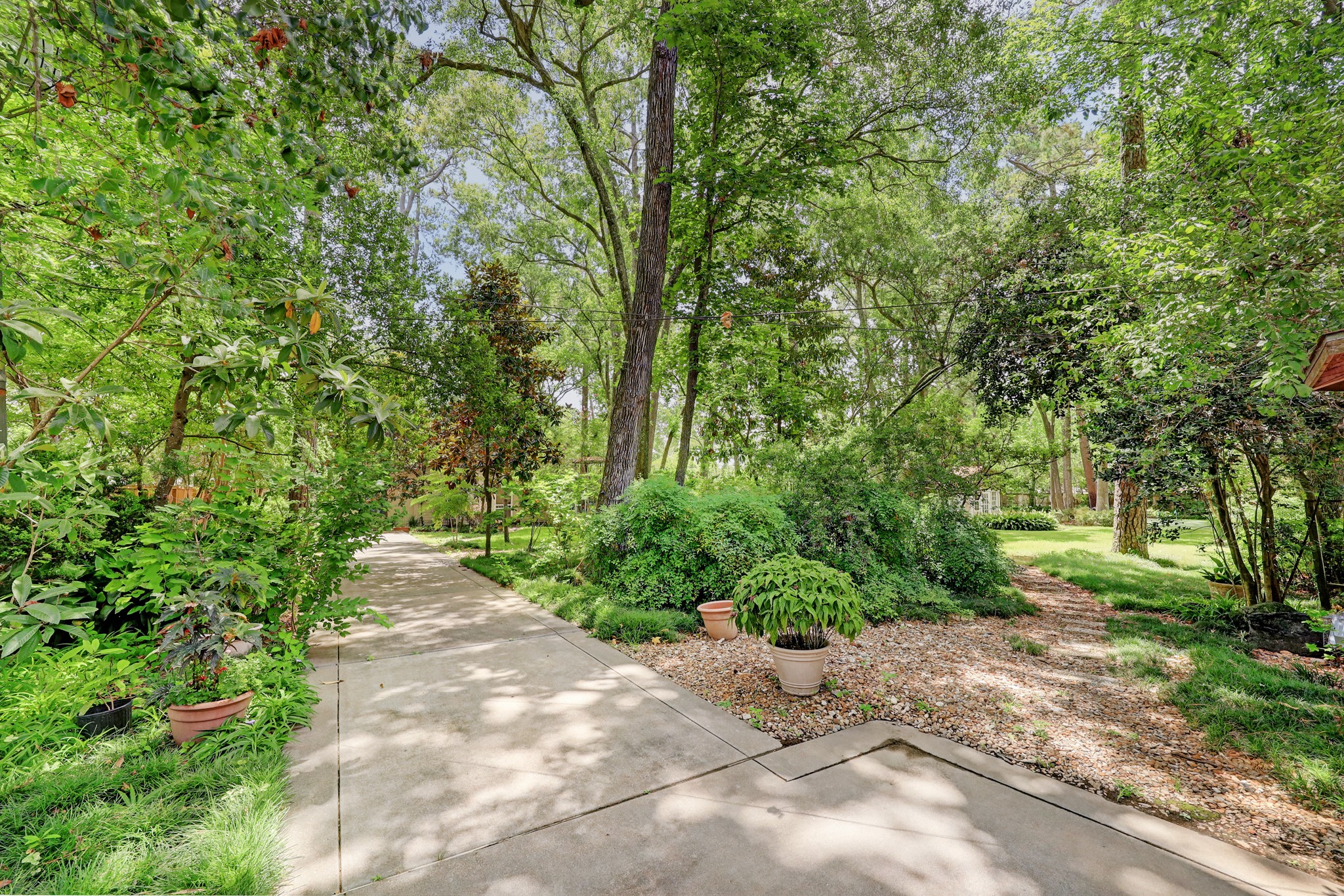 318 Timberwilde Lane