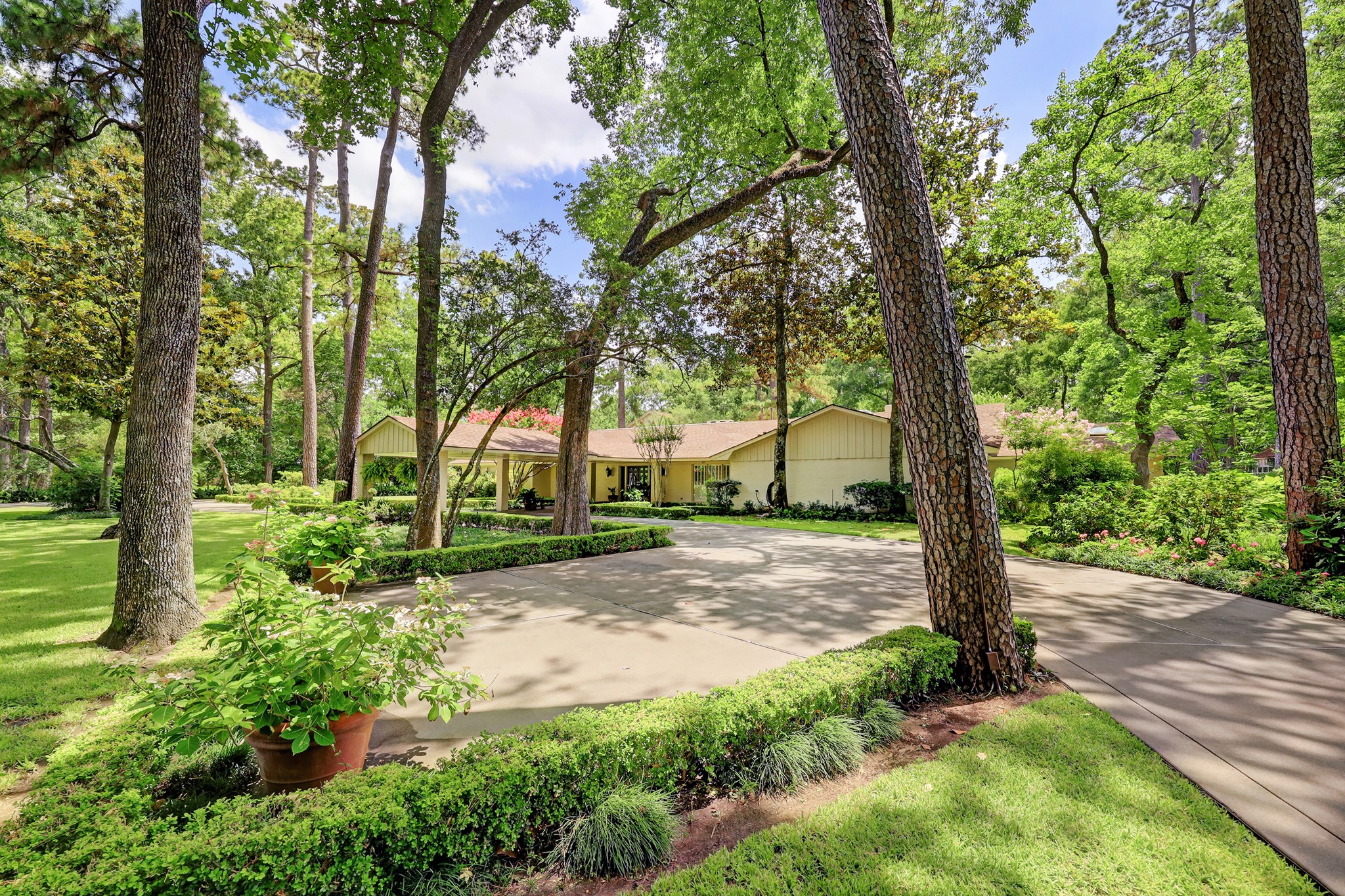 318 Timberwilde Lane