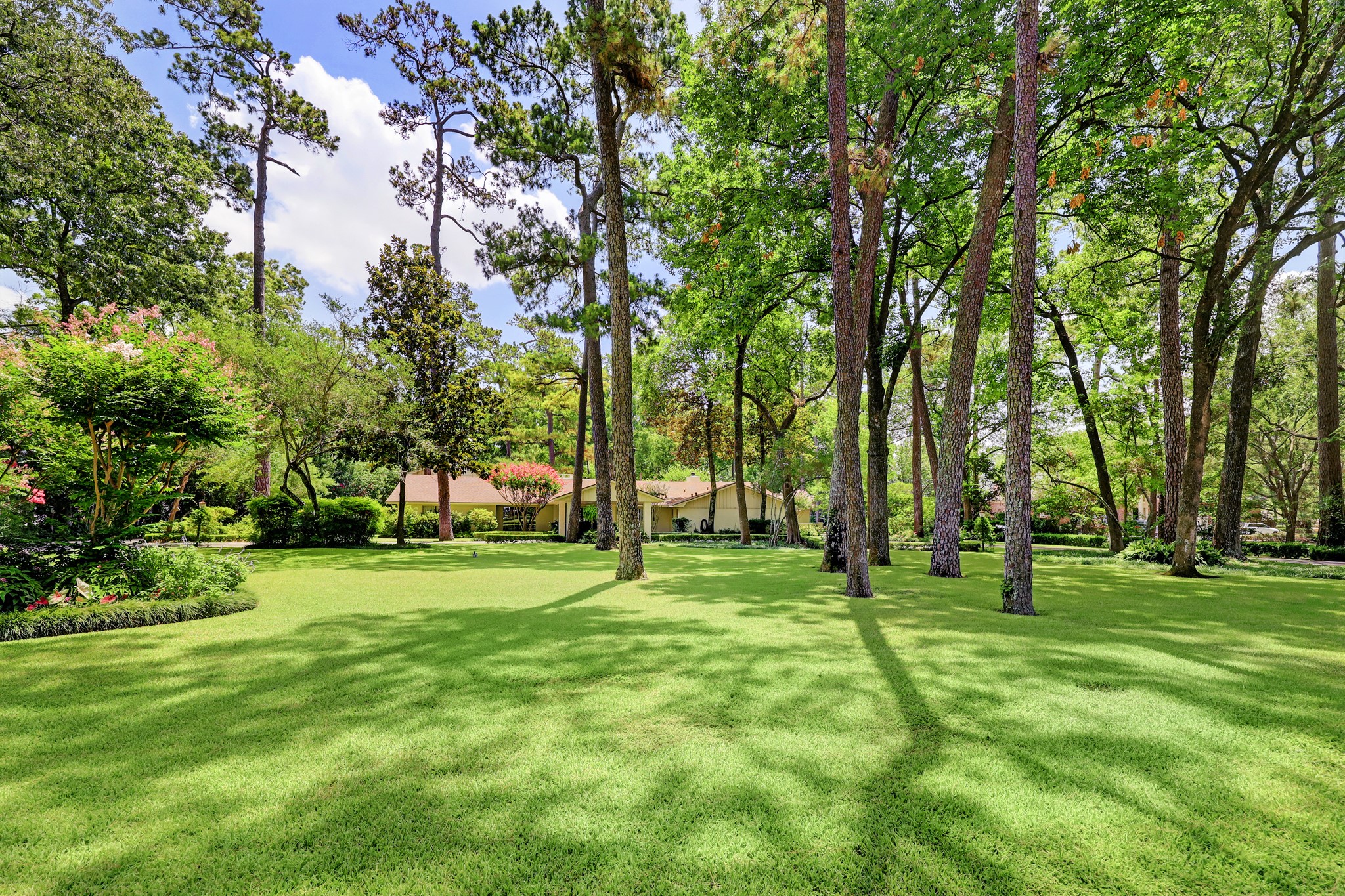 318 Timberwilde Lane