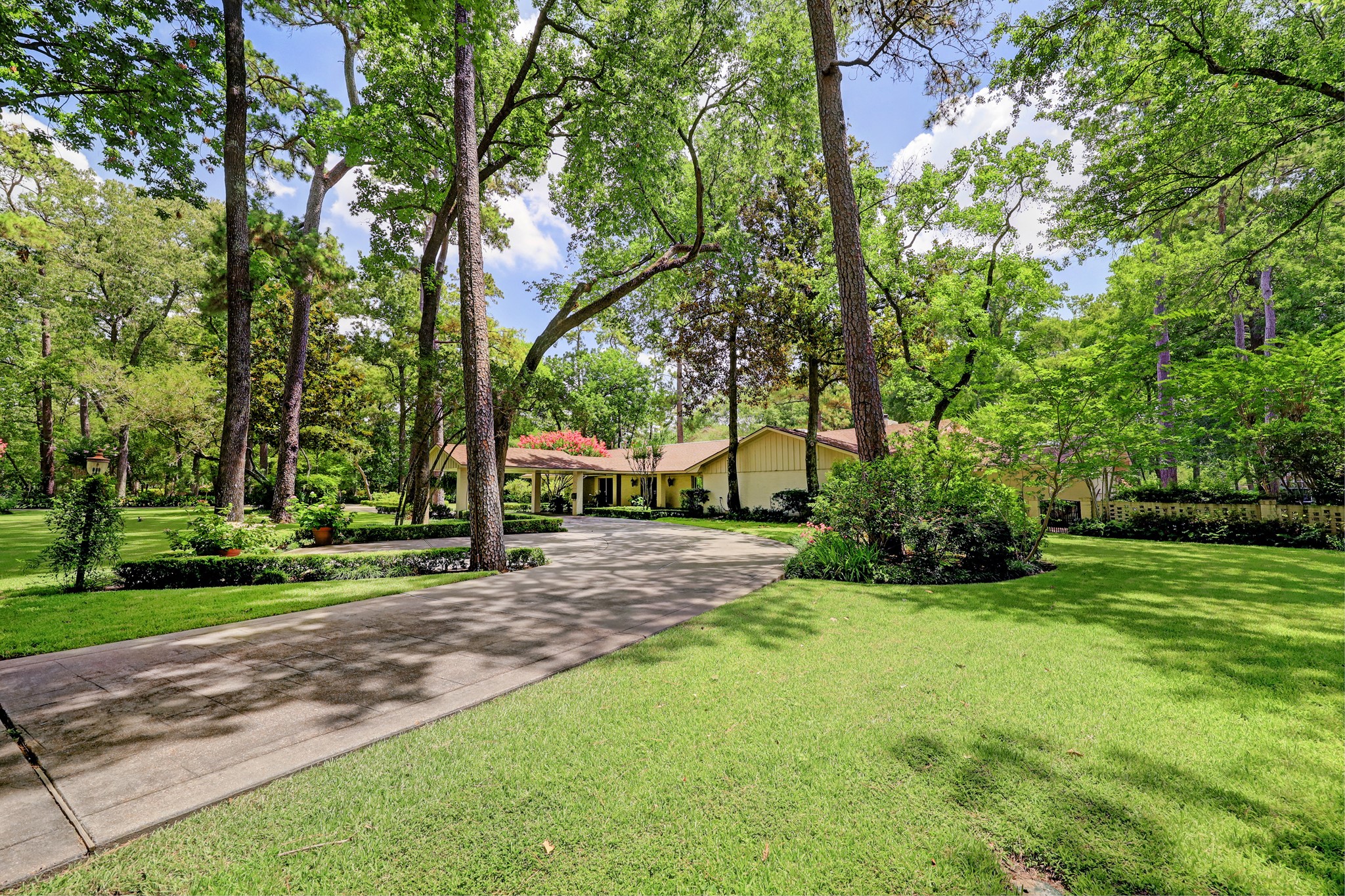 318 Timberwilde Lane