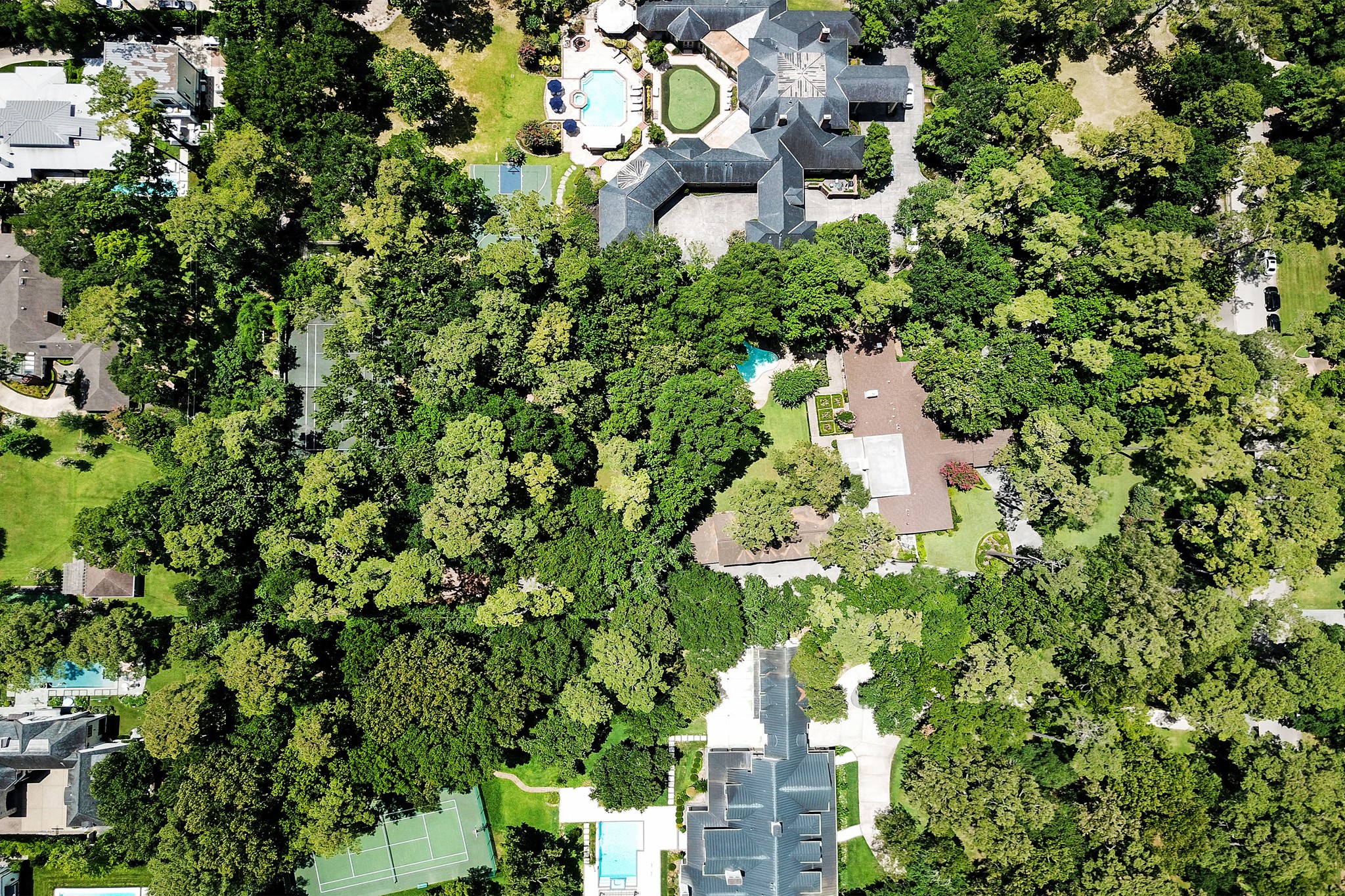 318 Timberwilde Lane