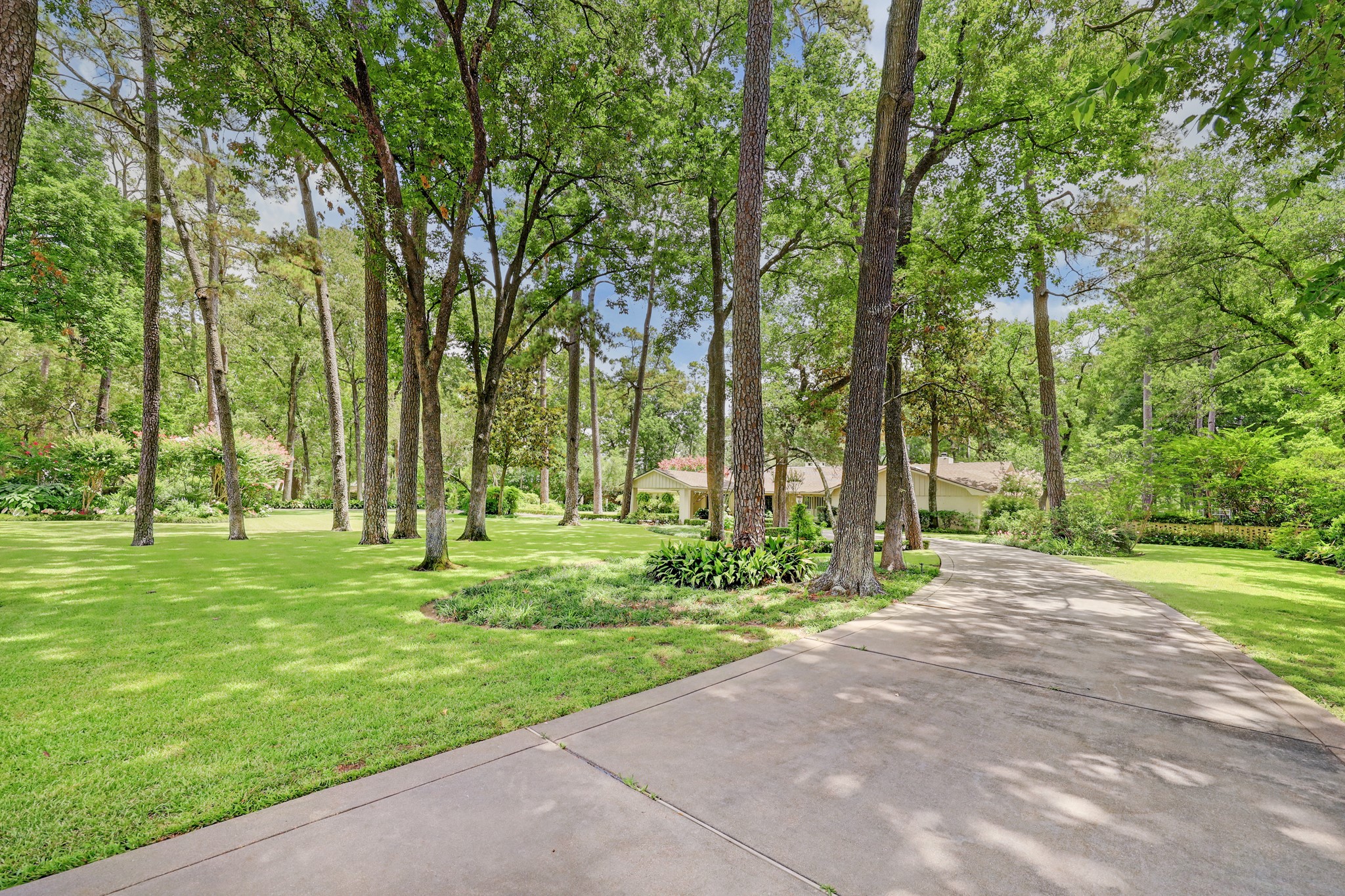318 Timberwilde Lane