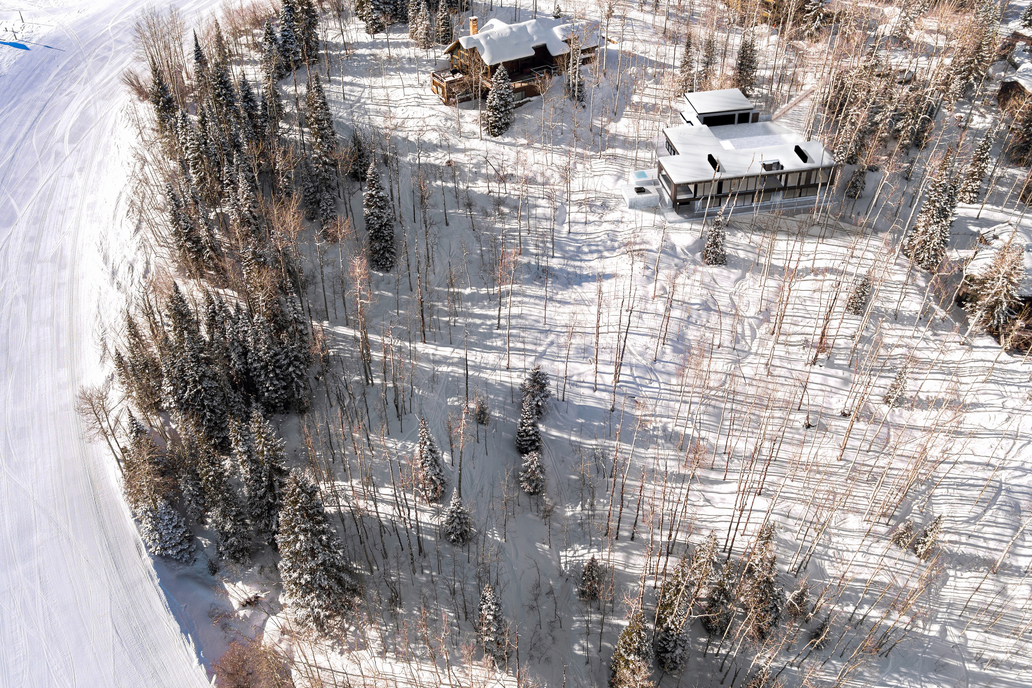 155 Forest Lane 