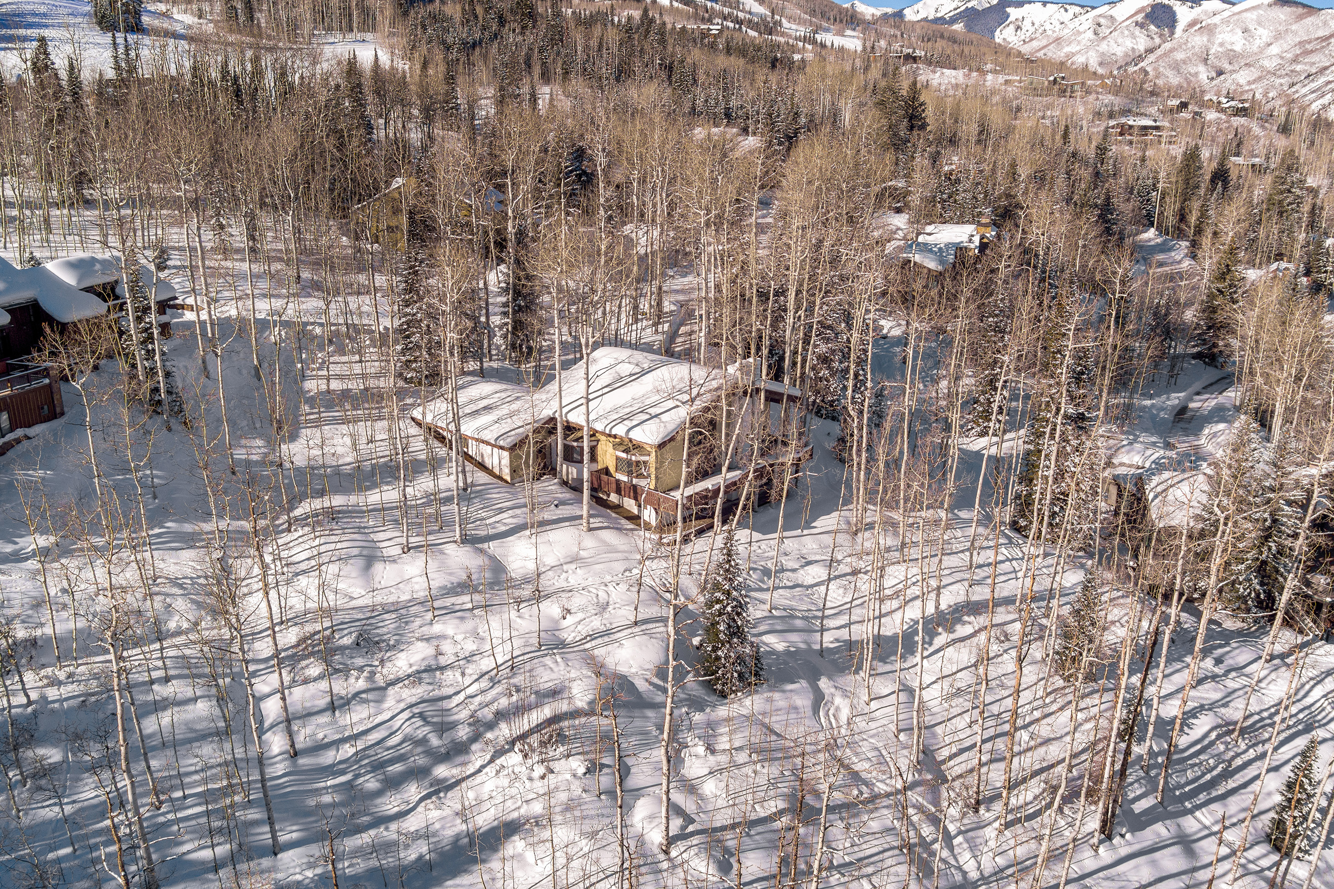 155 Forest Lane 
