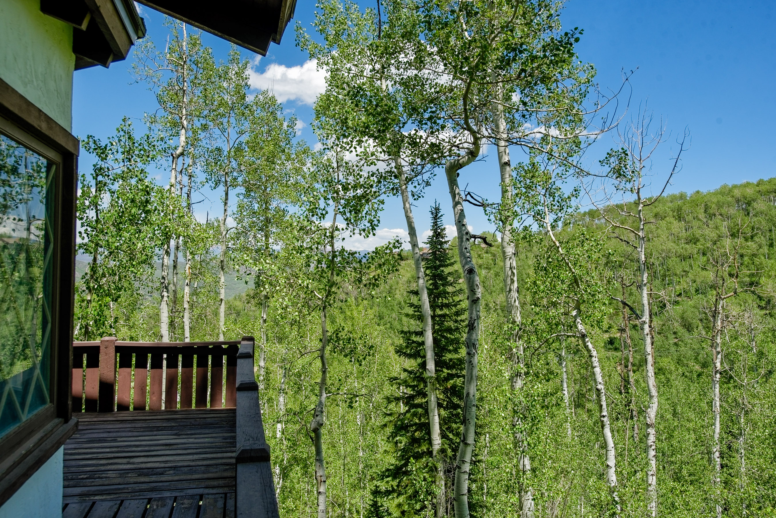 155 Forest Lane 