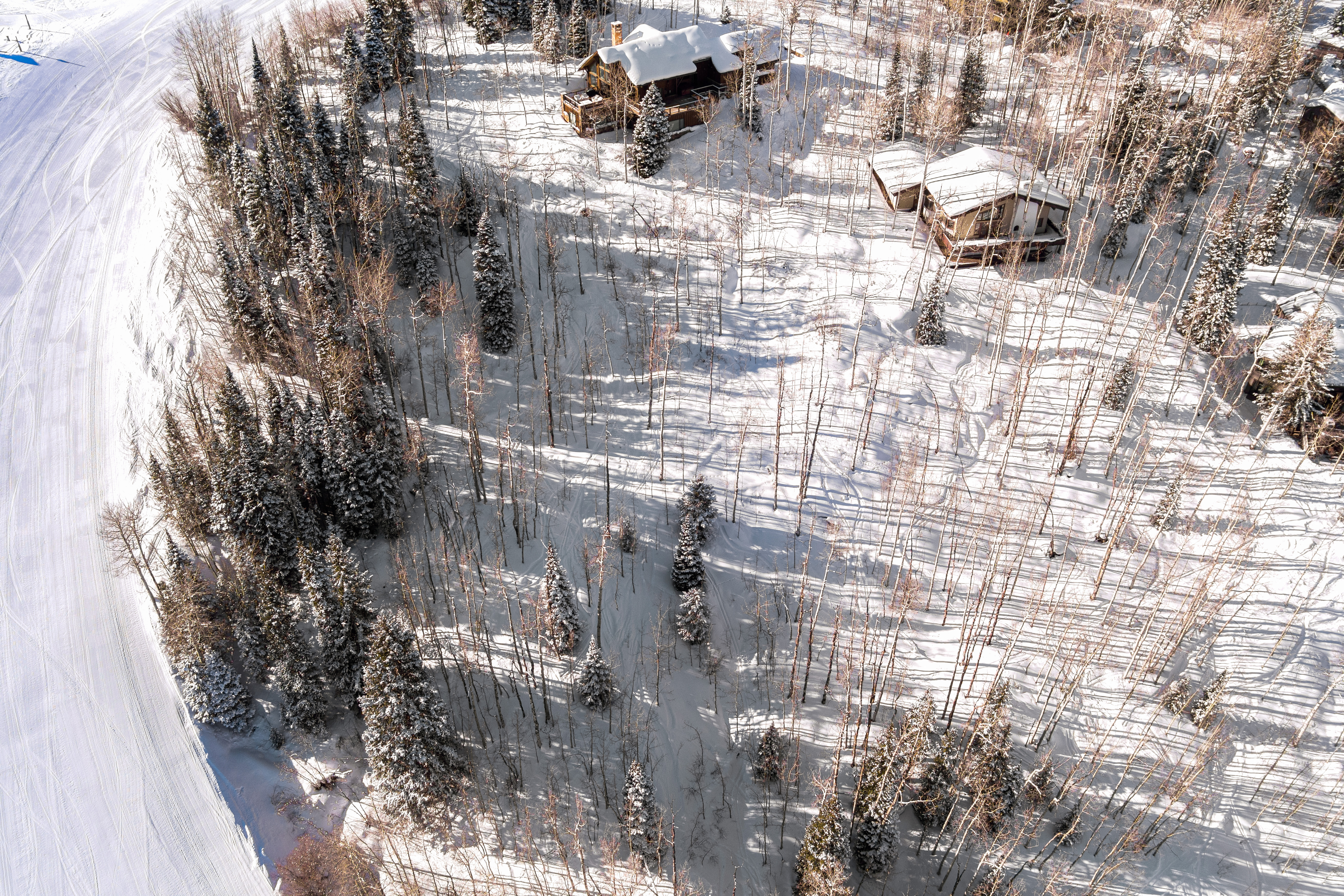 155 Forest Lane 