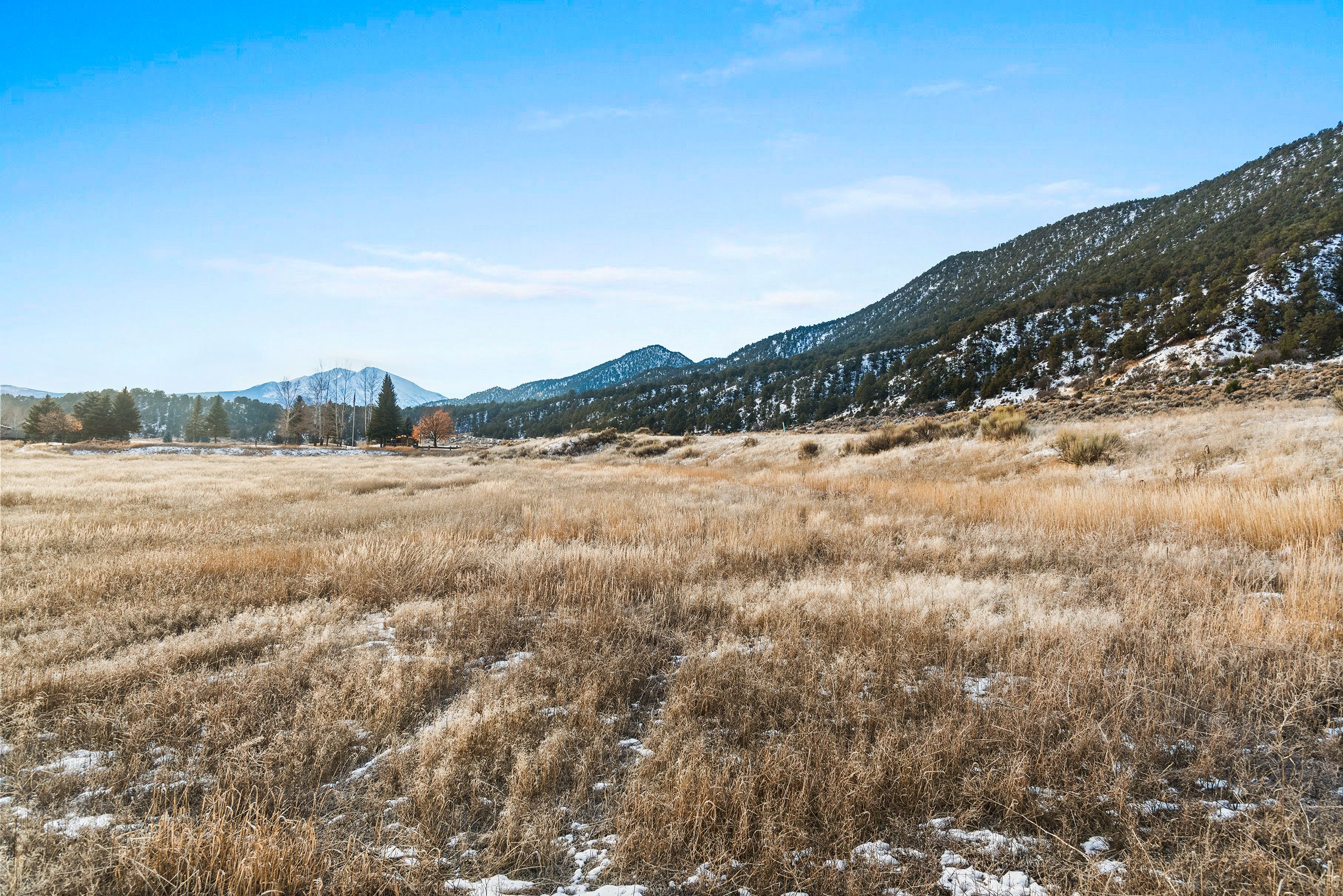 TBD Bald Eagle Way 