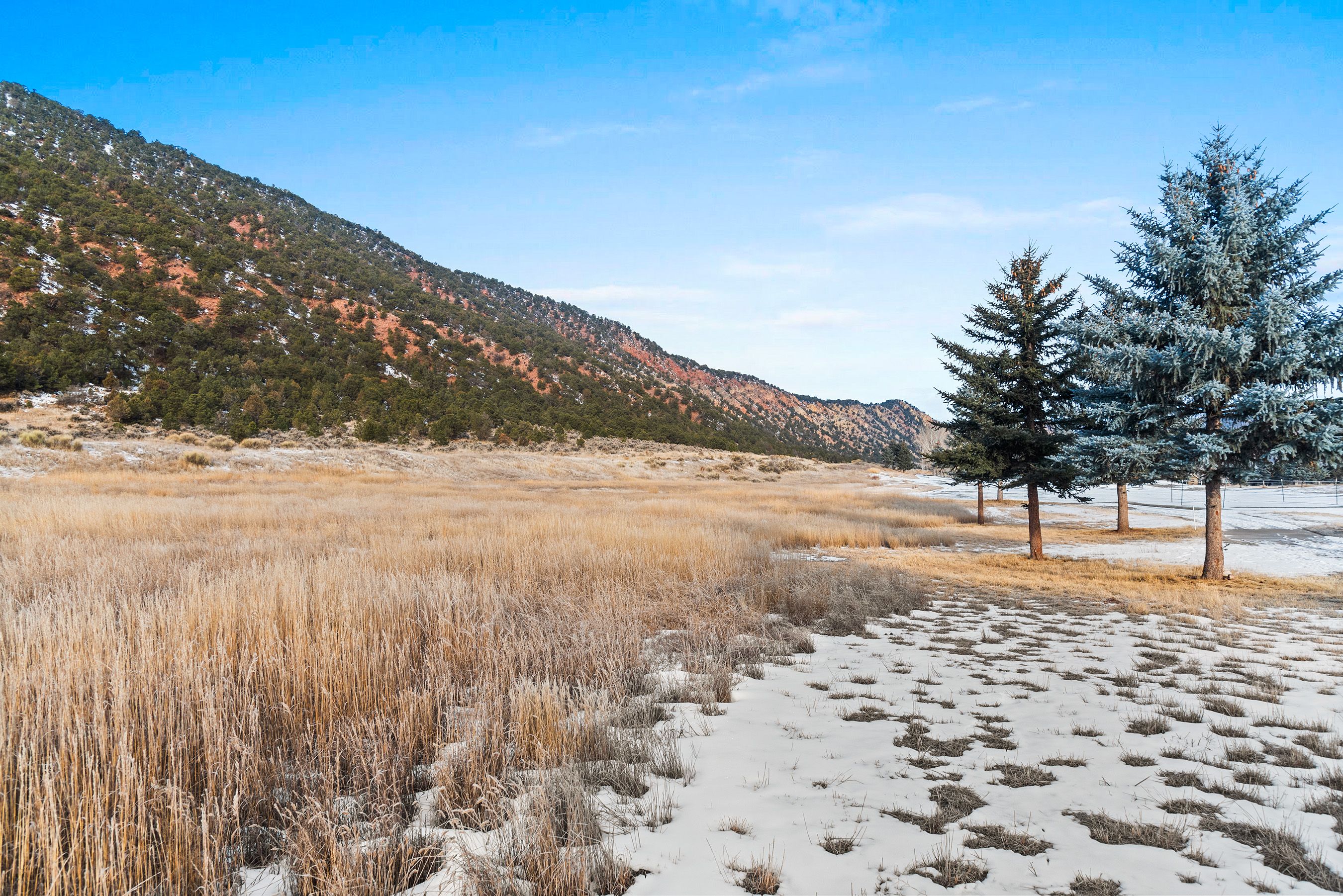 TBD Bald Eagle Way 