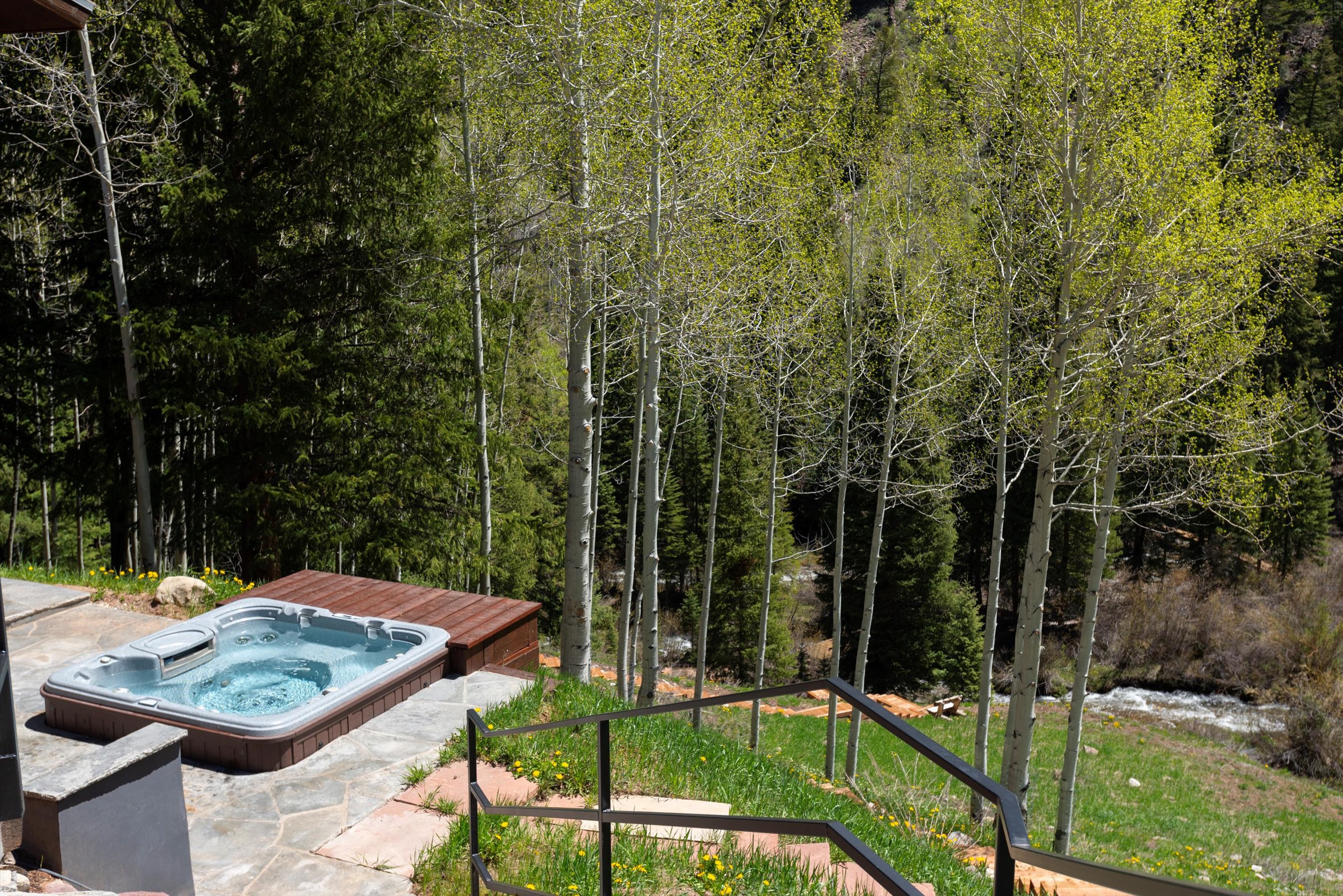 9888 Castle Creek Road, Aspen, CO