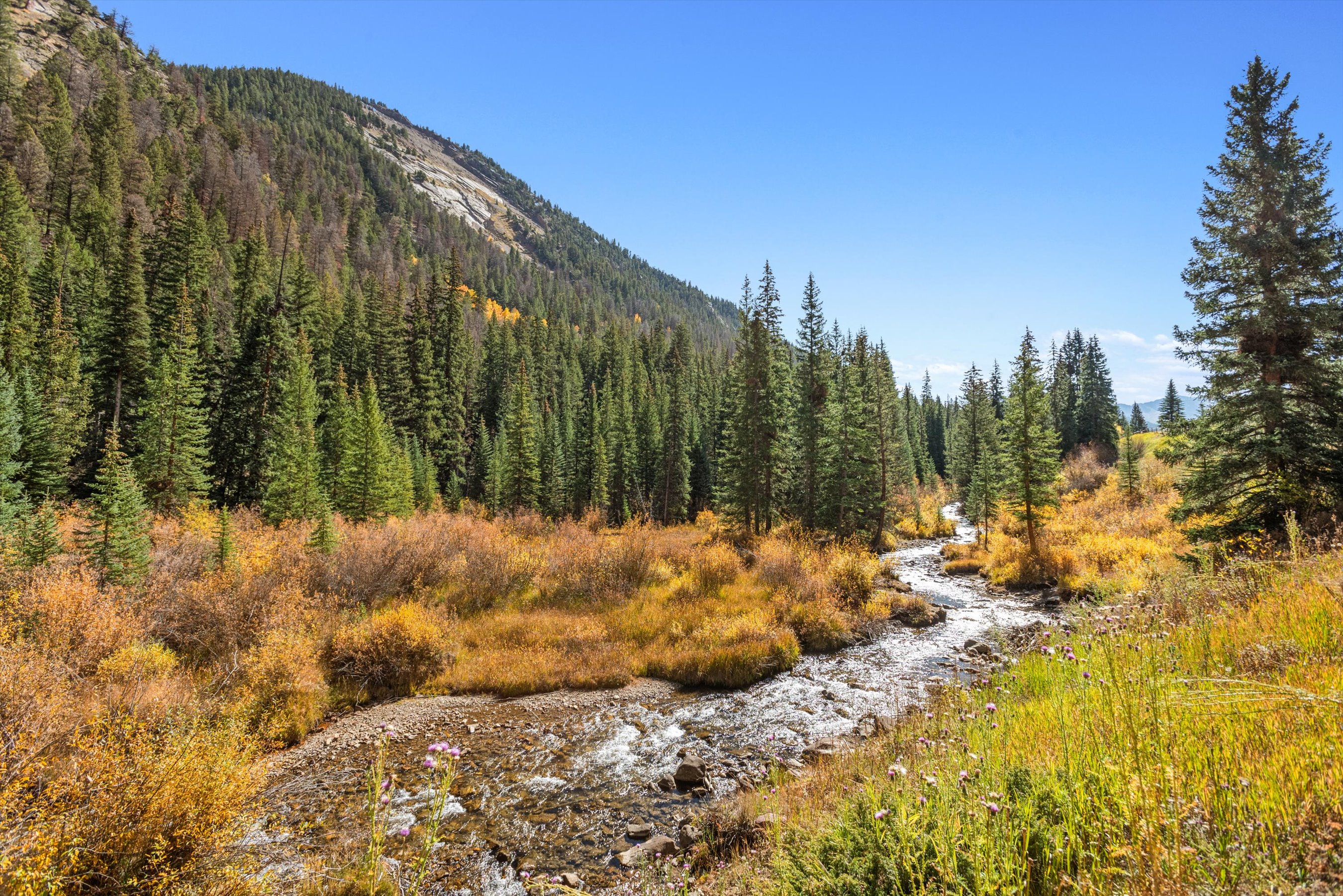 9888 Castle Creek Road, Aspen, CO