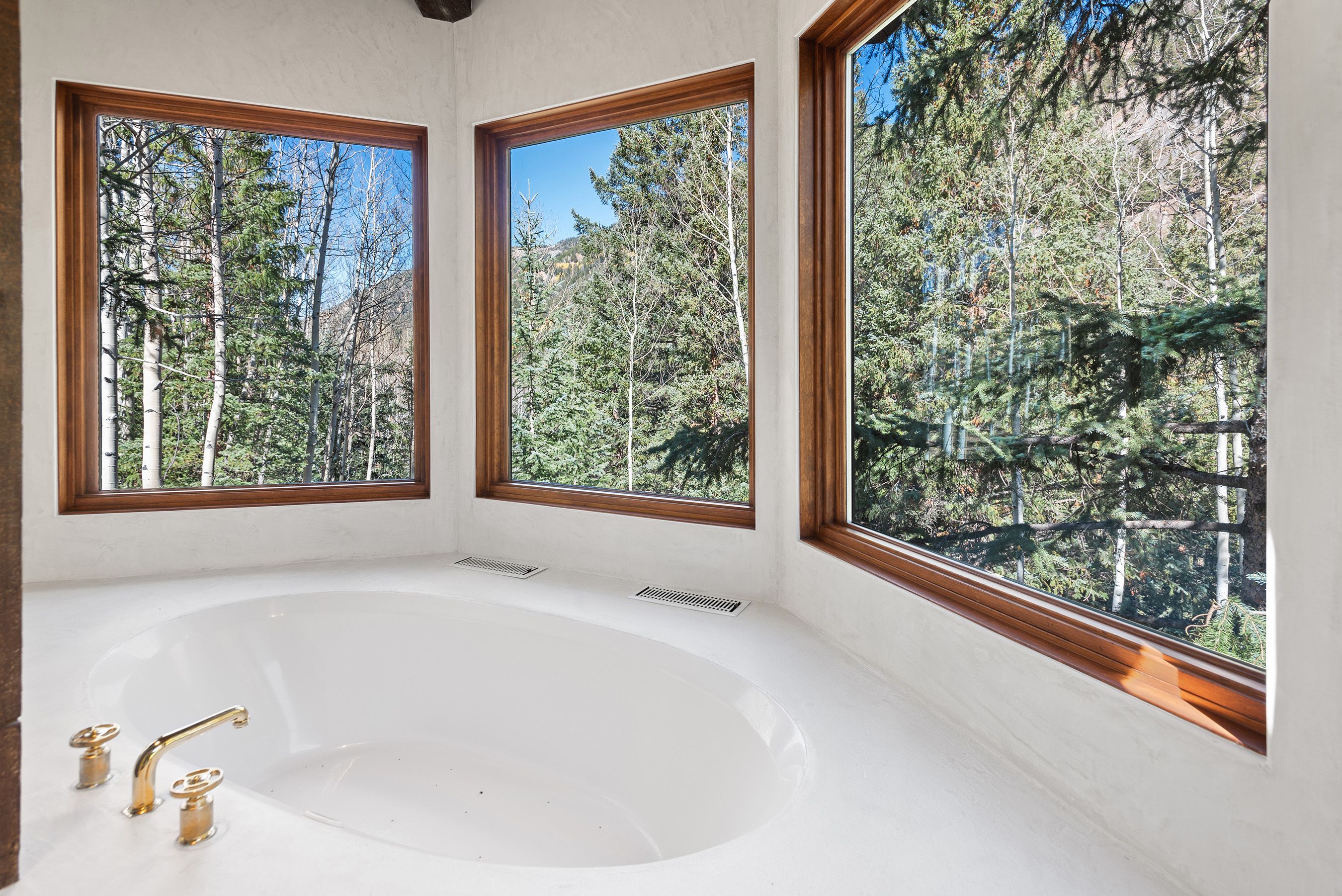 9888 Castle Creek Road, Aspen, CO