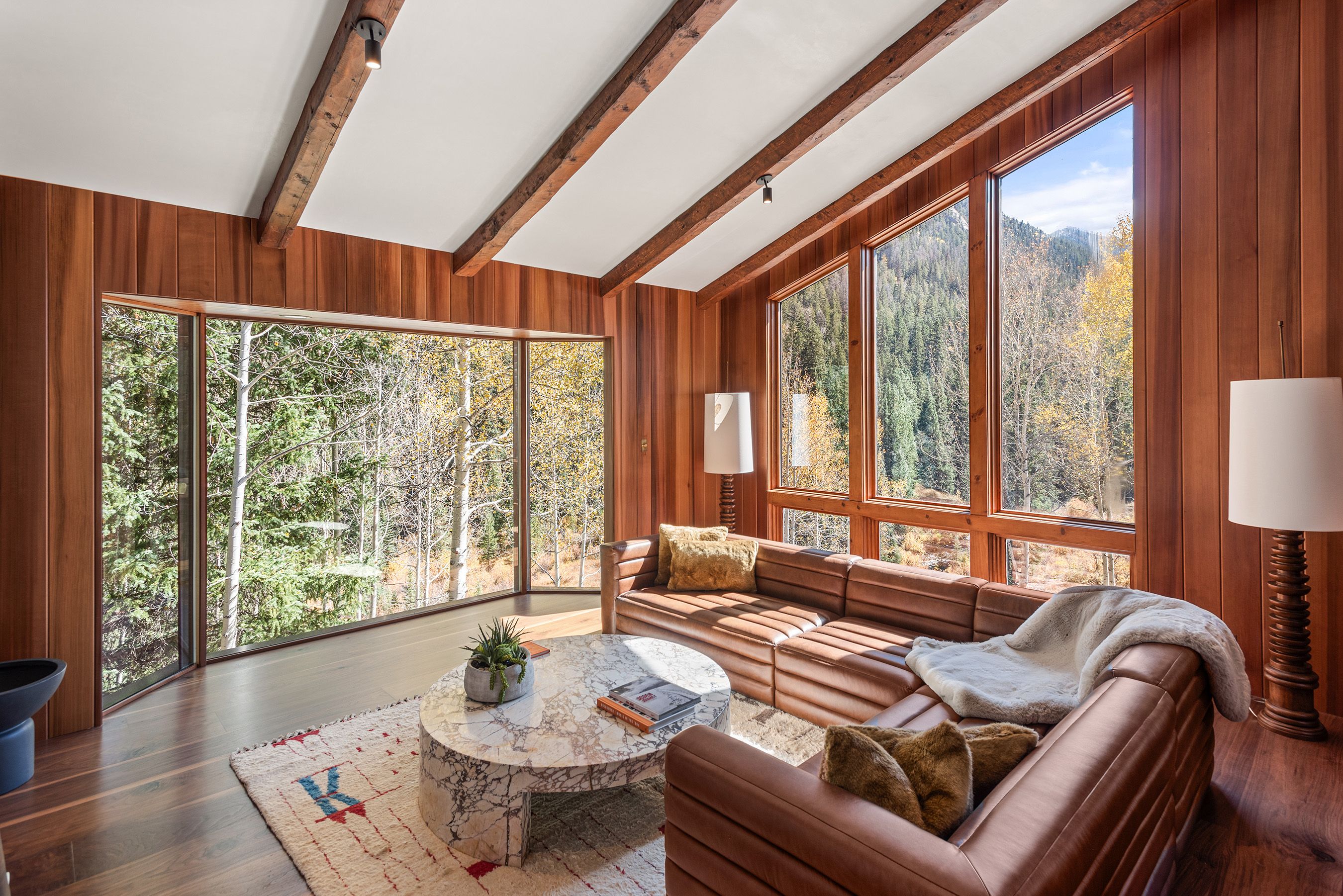 9888 Castle Creek Road, Aspen, CO