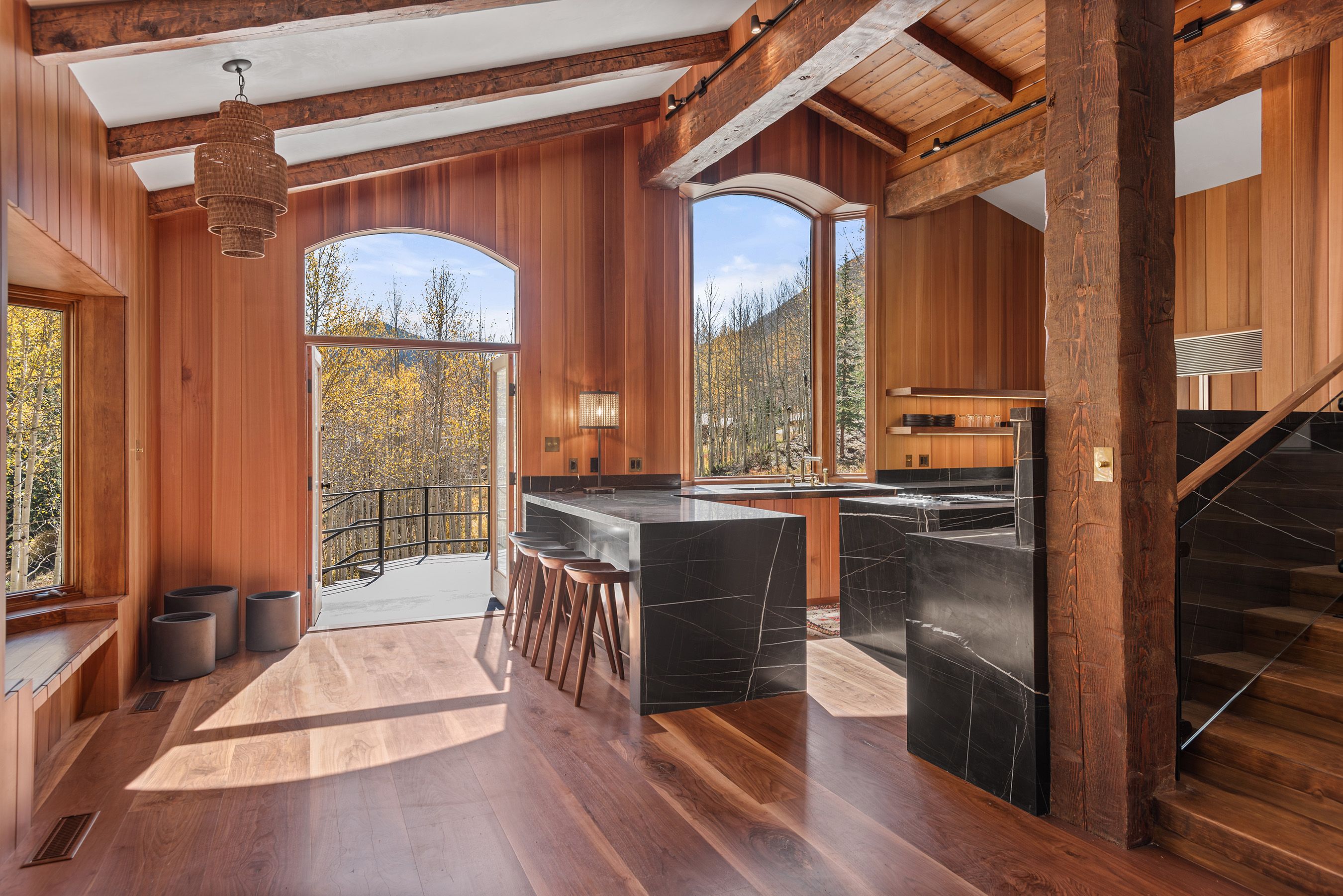 9888 Castle Creek Road, Aspen, CO