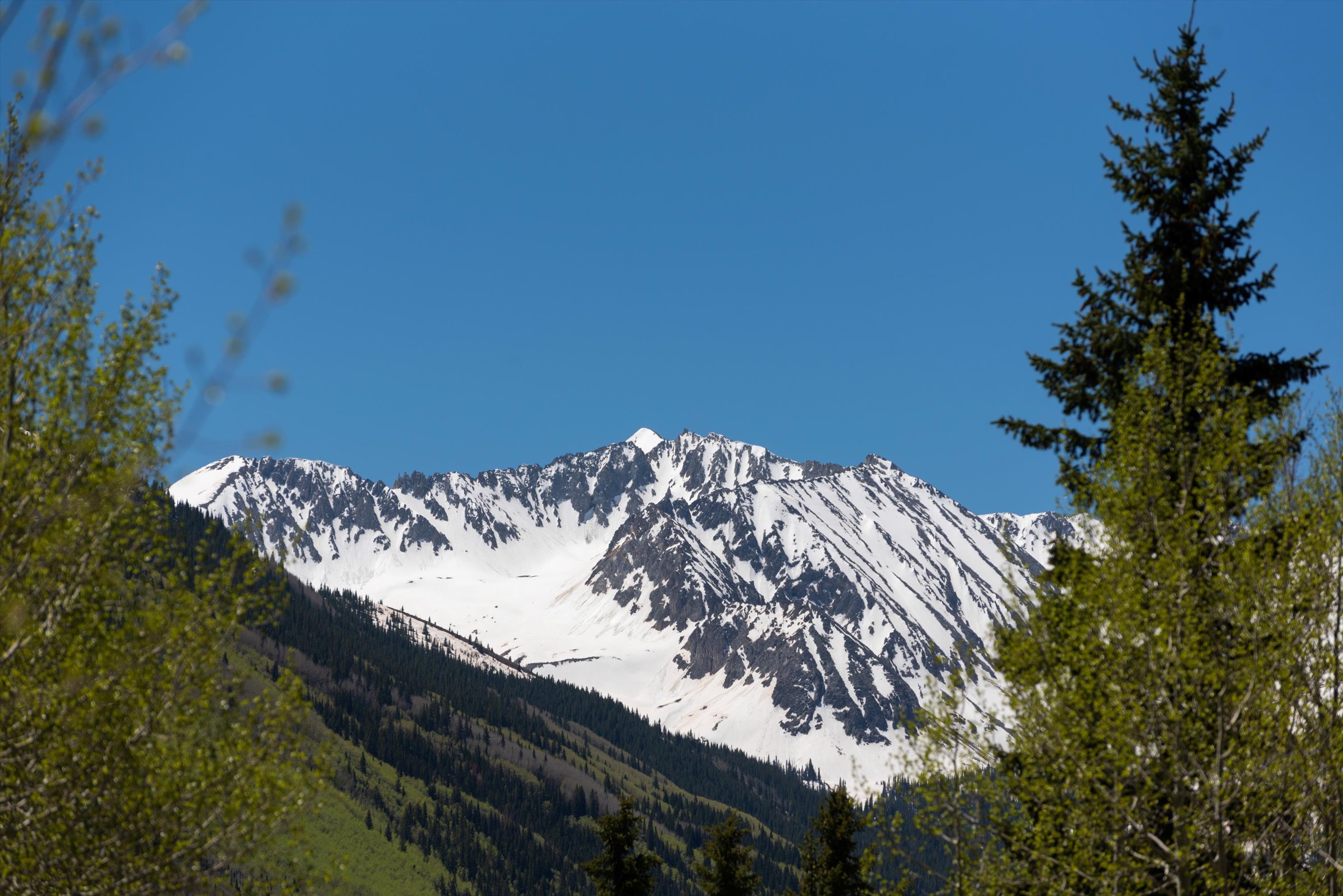 9888 Castle Creek Road, Aspen, CO