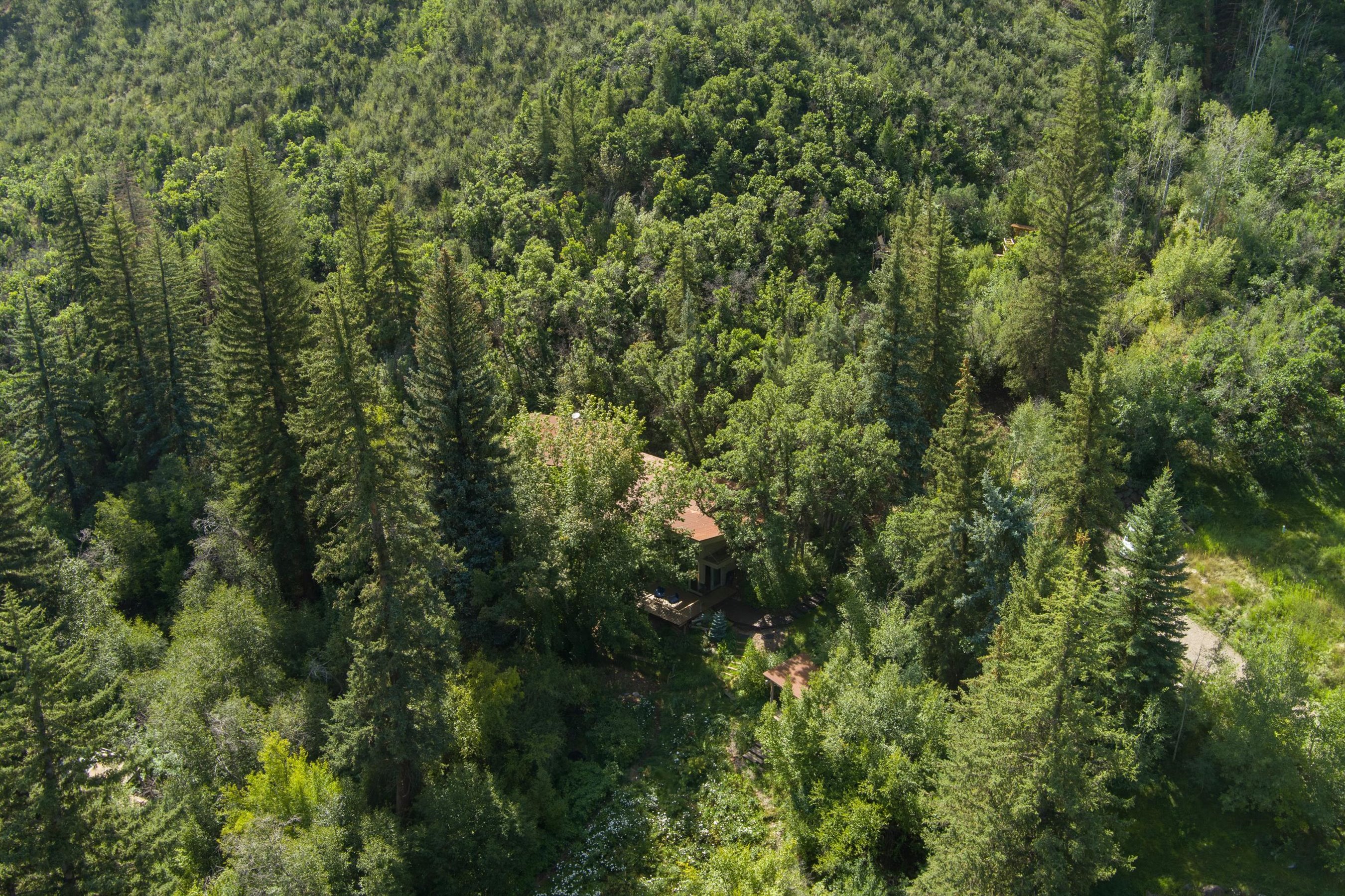 768 Kings Lake Road 