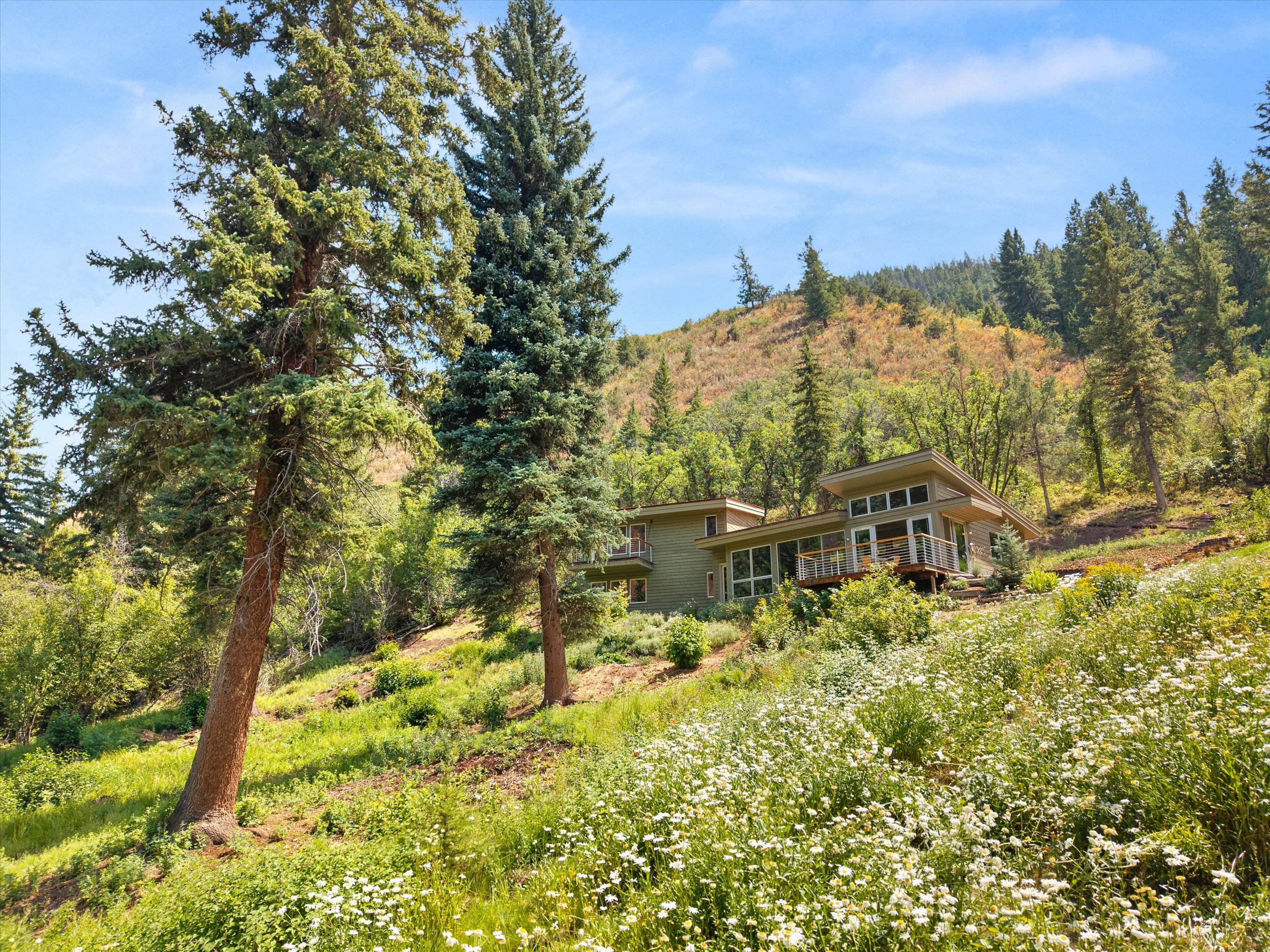 768 Kings Lake Road 