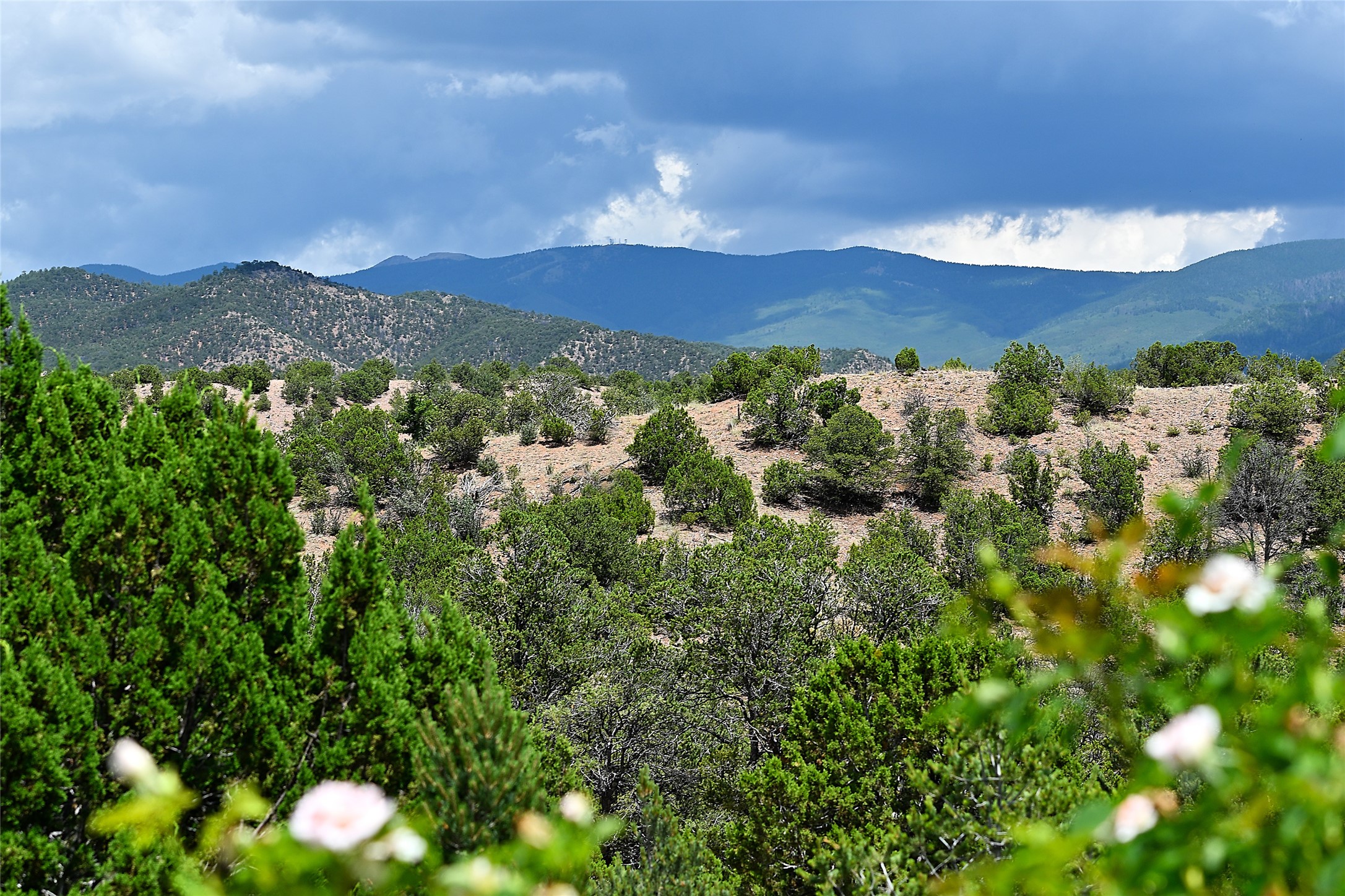 37 Rancho Escondido 