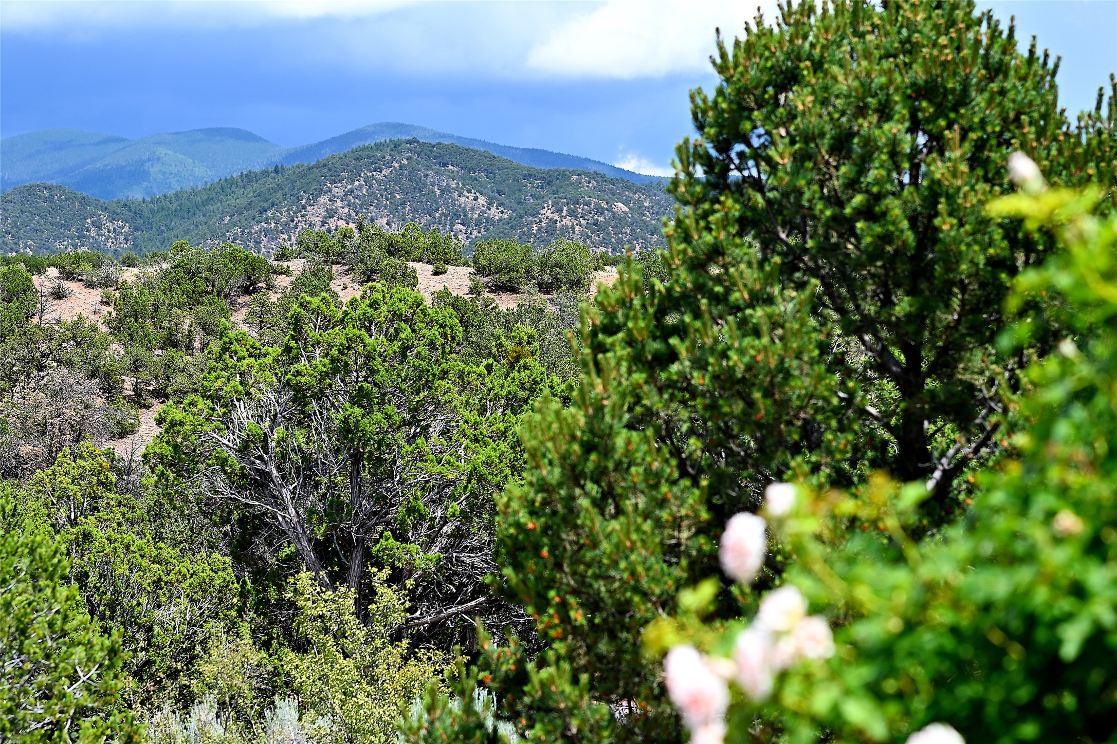 37 Rancho Escondido 